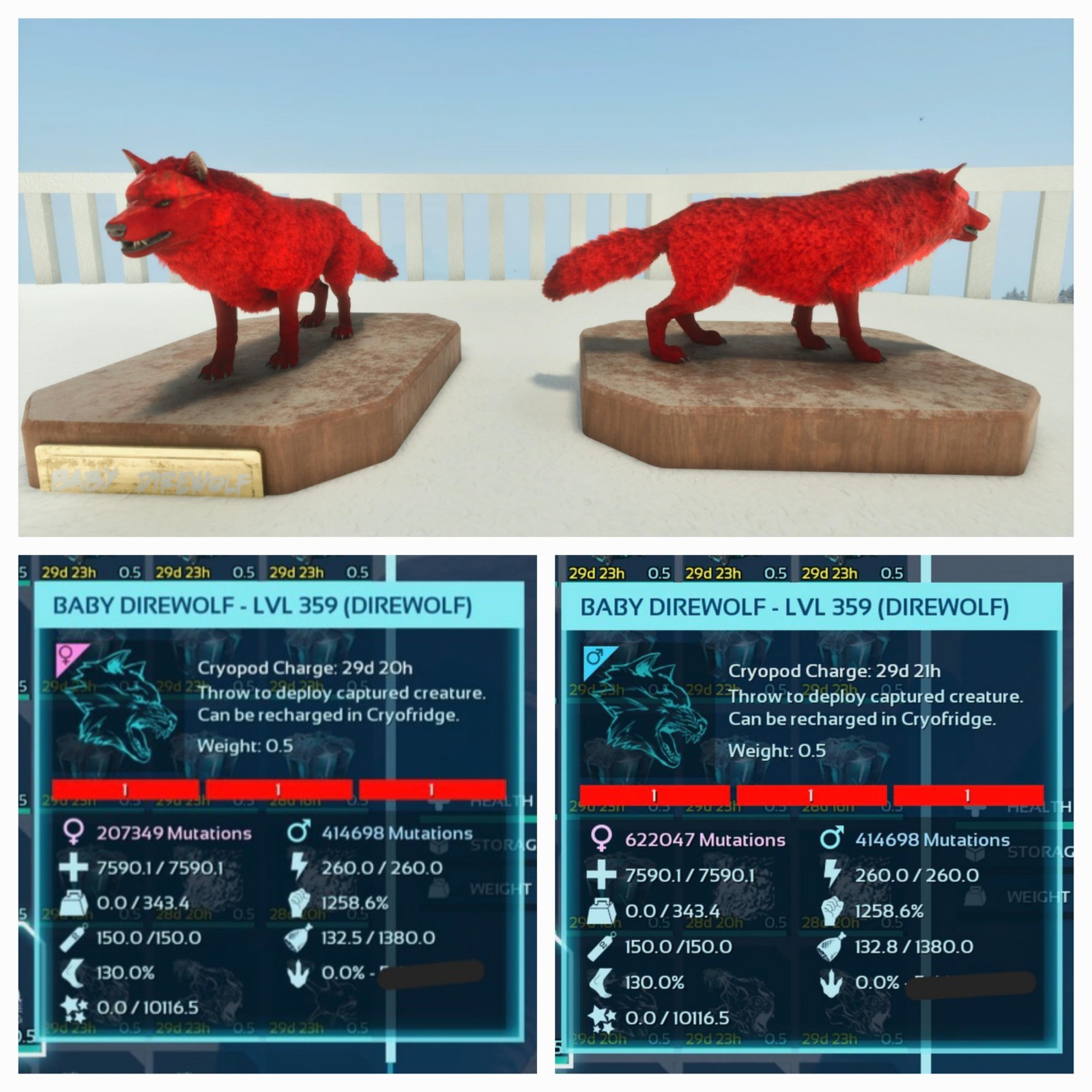 ARK ASCENDED PVE OFFICIAL PAIR BABY DIREWOLF RED ID01 NEW TOPSTATUS PC/XBOX/PS5