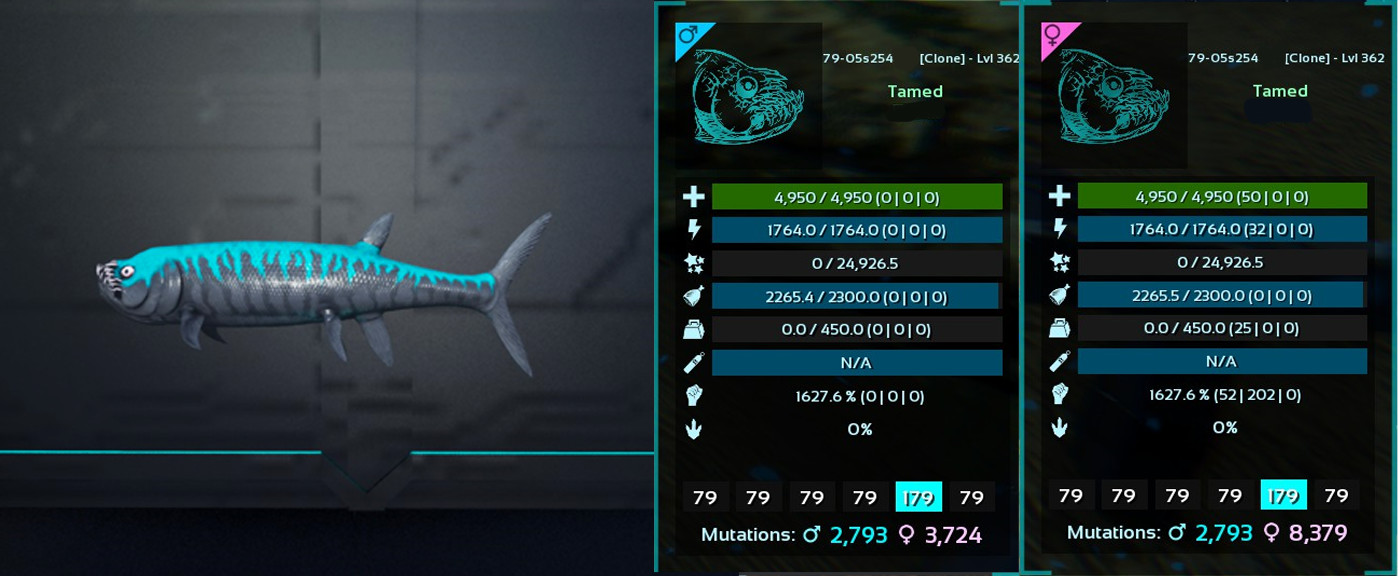 ✅ARK Survival Ascended PvE Top Stats Xiphactinus-Top Stats- PC/XBOX/PS5✅