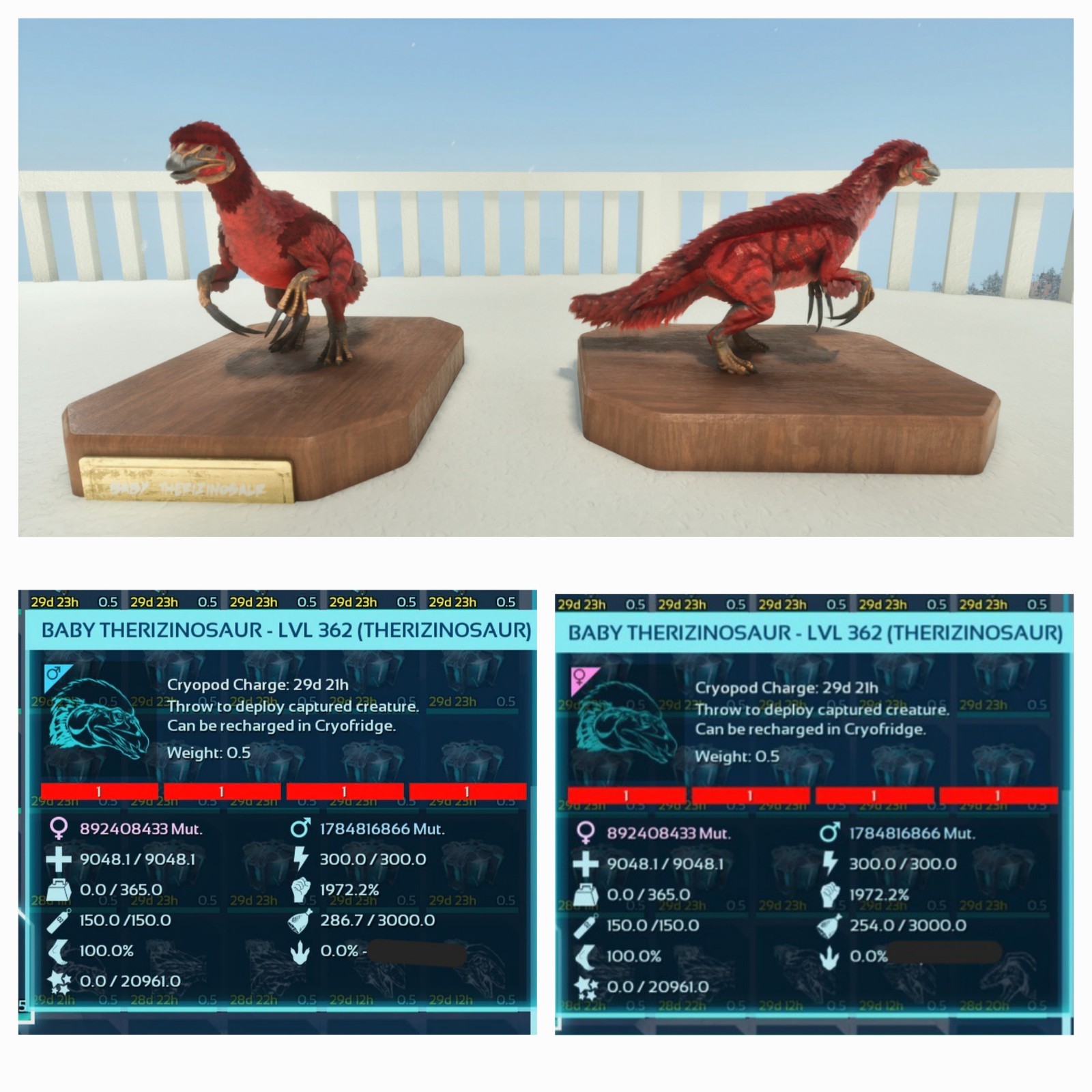 THEREZINOSAUR PAIR BABY RED ID01 TOP MELEE 1972% ARK ASCENDED PVE PC/XBOX/PS