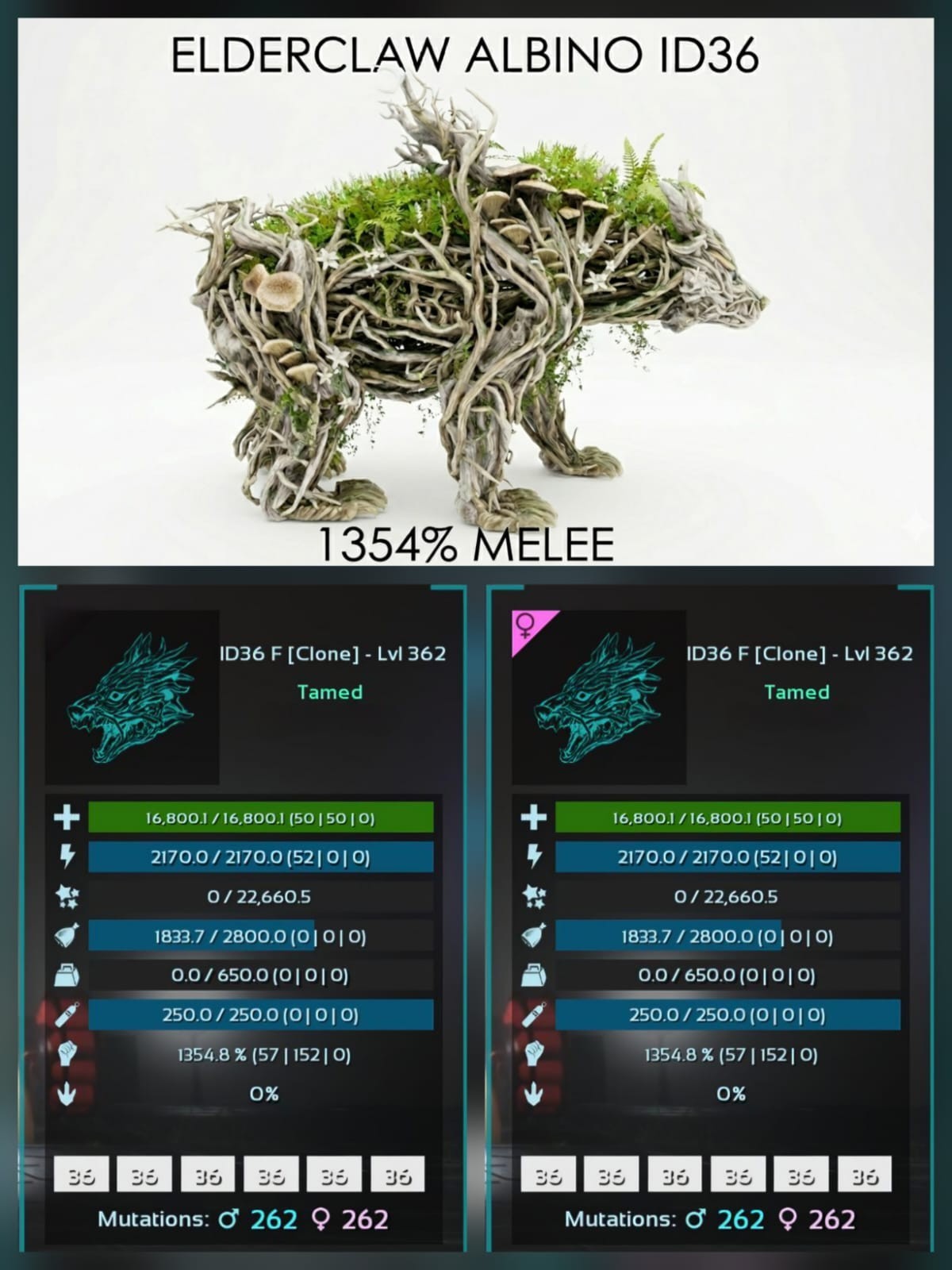 Elderclaw Top Stats BABY PAIR Ark Survival Ascended Official PVE PC/XBOX/PS5