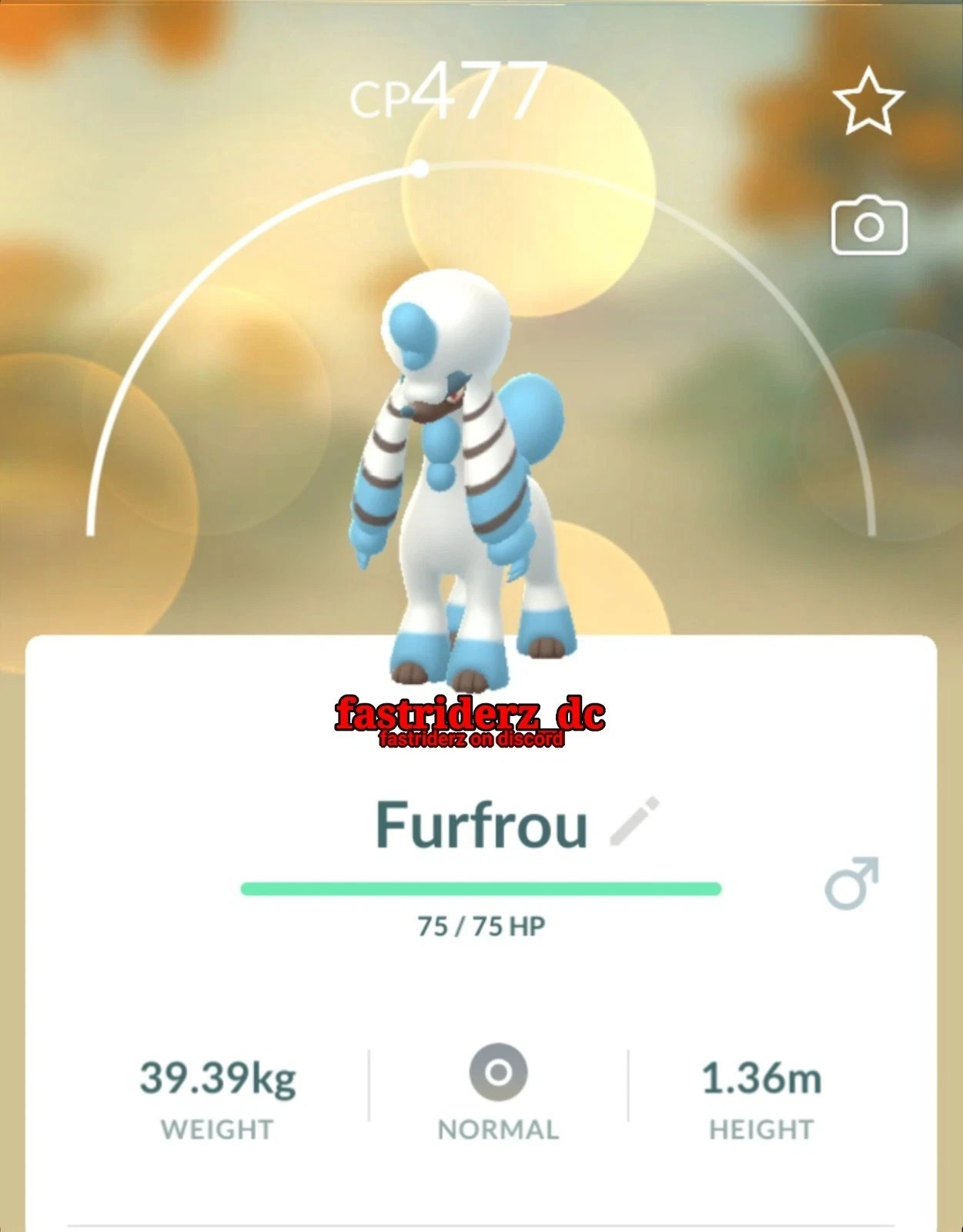Pokémon Furfrou La Reine Trim Regional Go TD