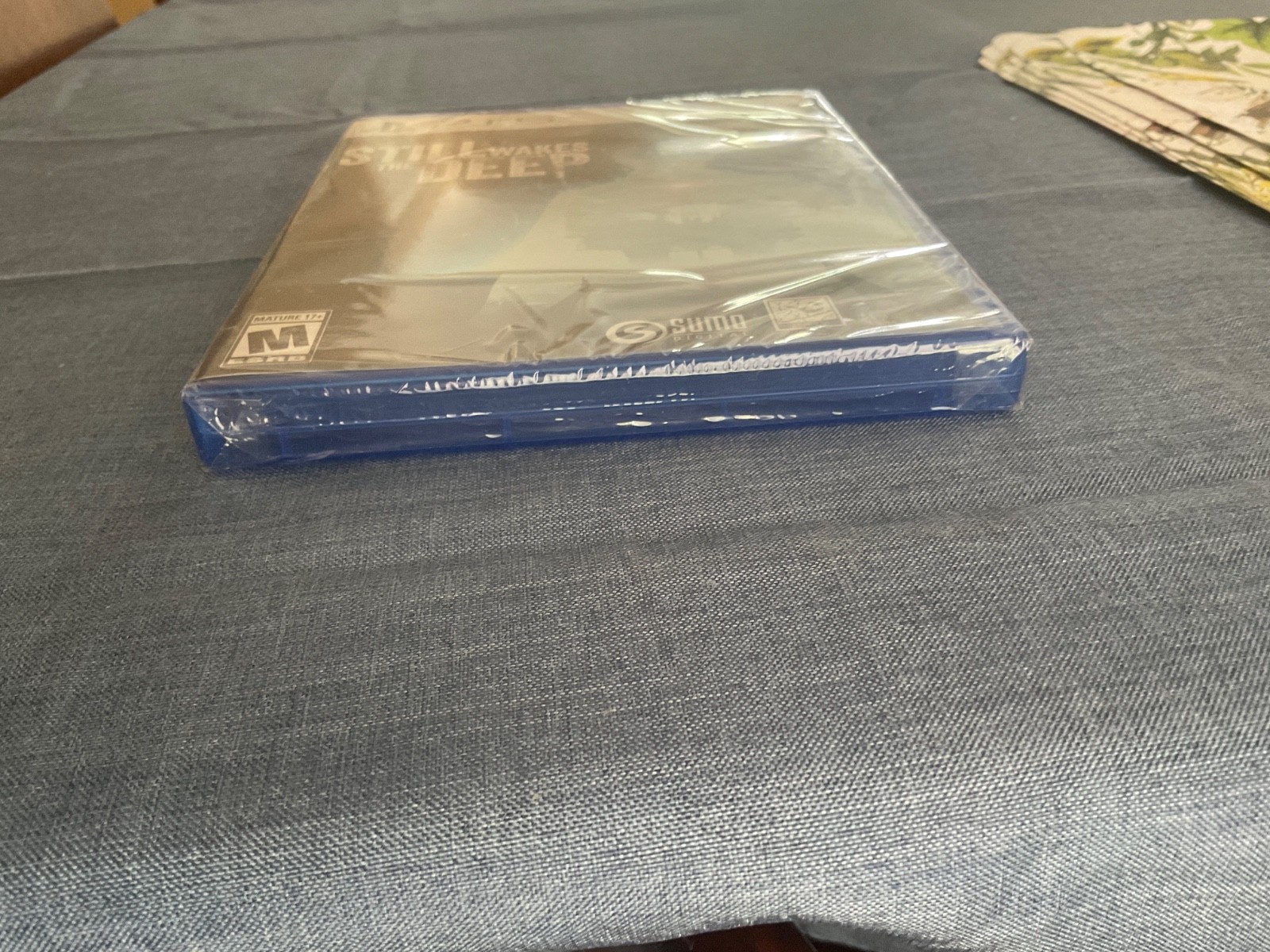 Still Wakes the Deep (Sony PlayStation 5 / PS5)