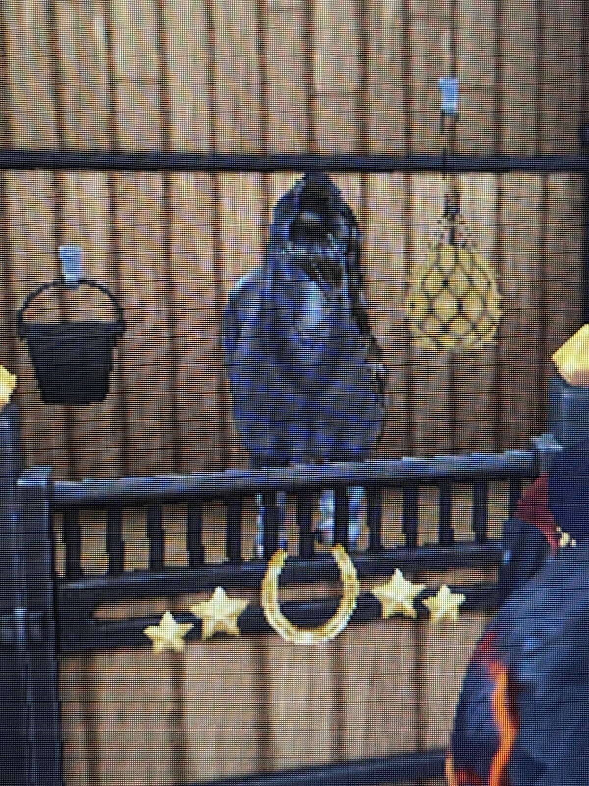 STAR STABLE Lifetime Account
