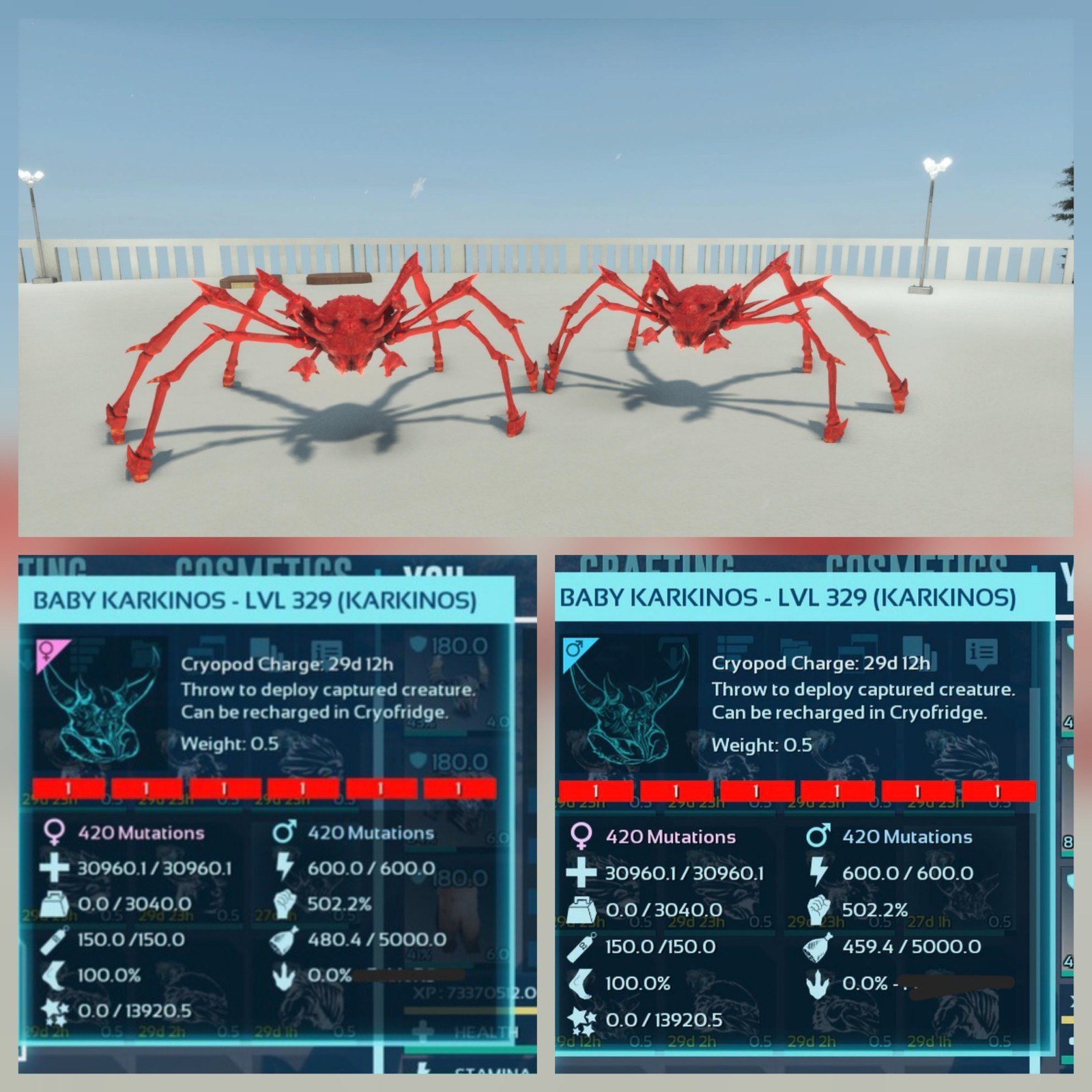KARKINOS FULL RED ID01 PAR BABY TOP STATUS ARK ASCENDED PVE PC/XBOX/PS5