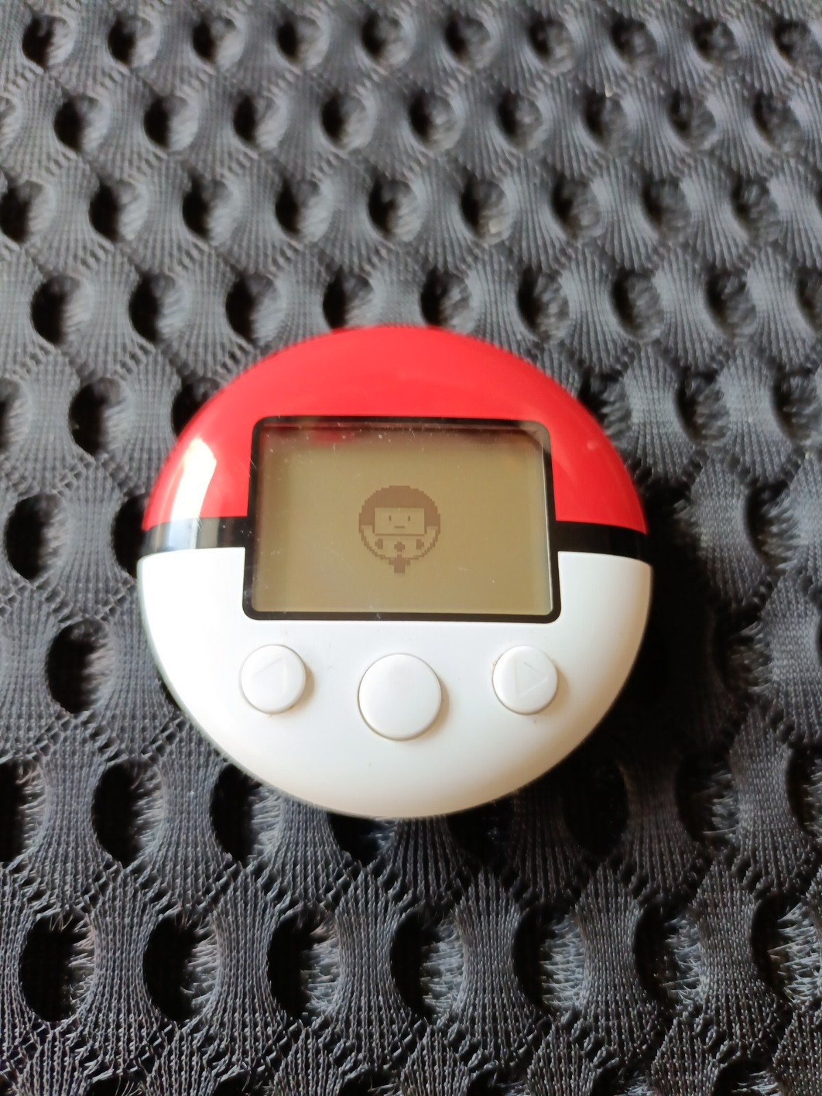 Pokemon PokeWalker ENGLISH Heart Gold Soul Silver Flat Cover
