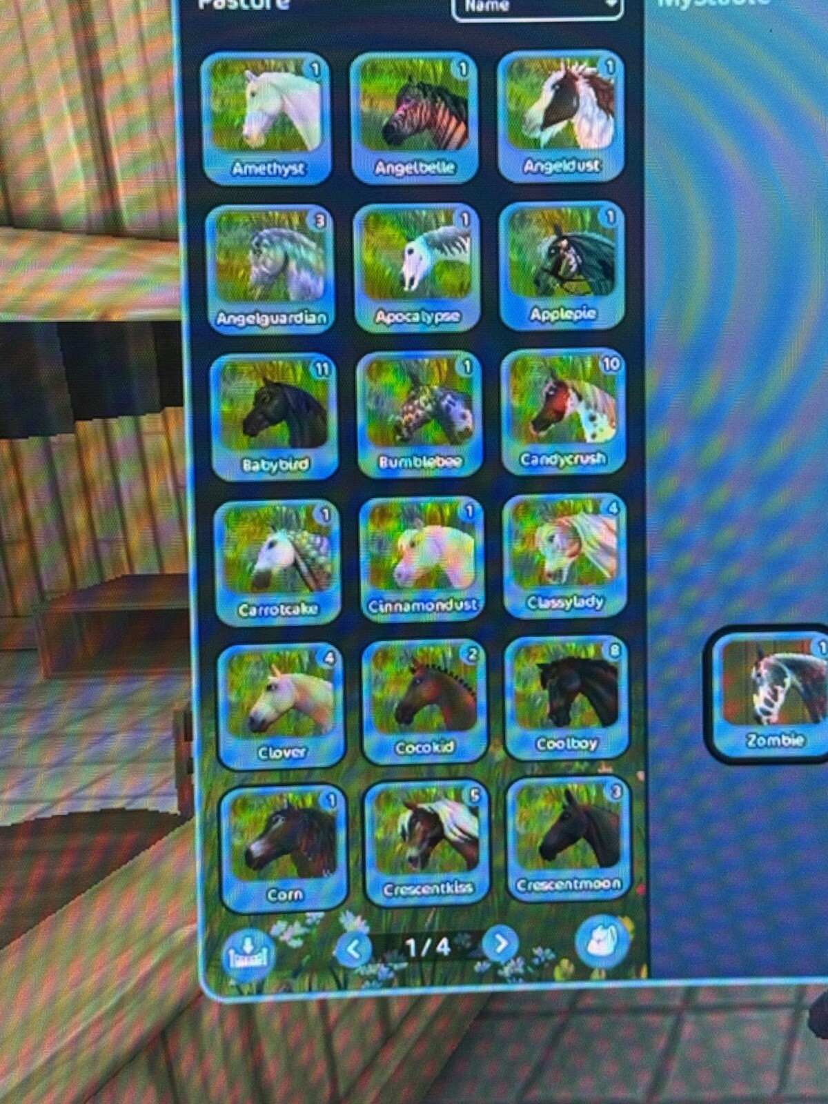 STAR STABLE Lifetime Account
