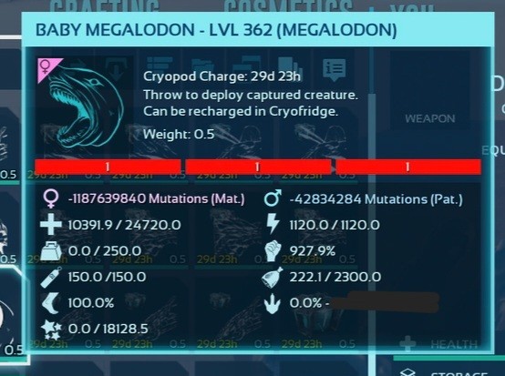 NEW TOP MEGALODON RED ID01 BABY PAIR ARK ASCENDED PVE OFFICIAL PC/XBOX/PS5