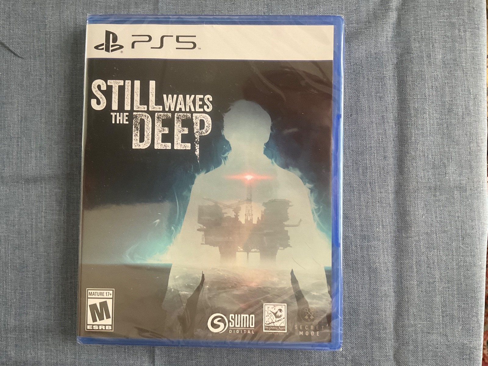 Still Wakes the Deep (Sony PlayStation 5 / PS5)