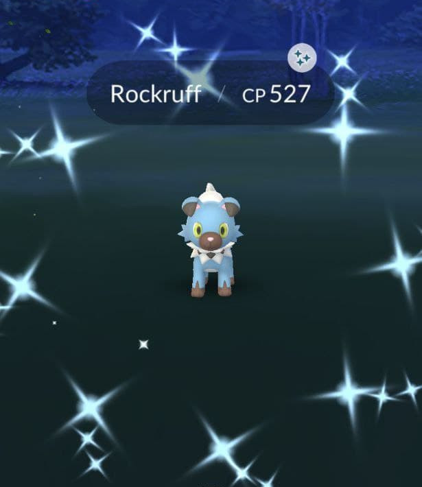 Pokemon Go Ultra Rare shiny Rockruff Safe And Fast! Registered Or 30 Days! ✨