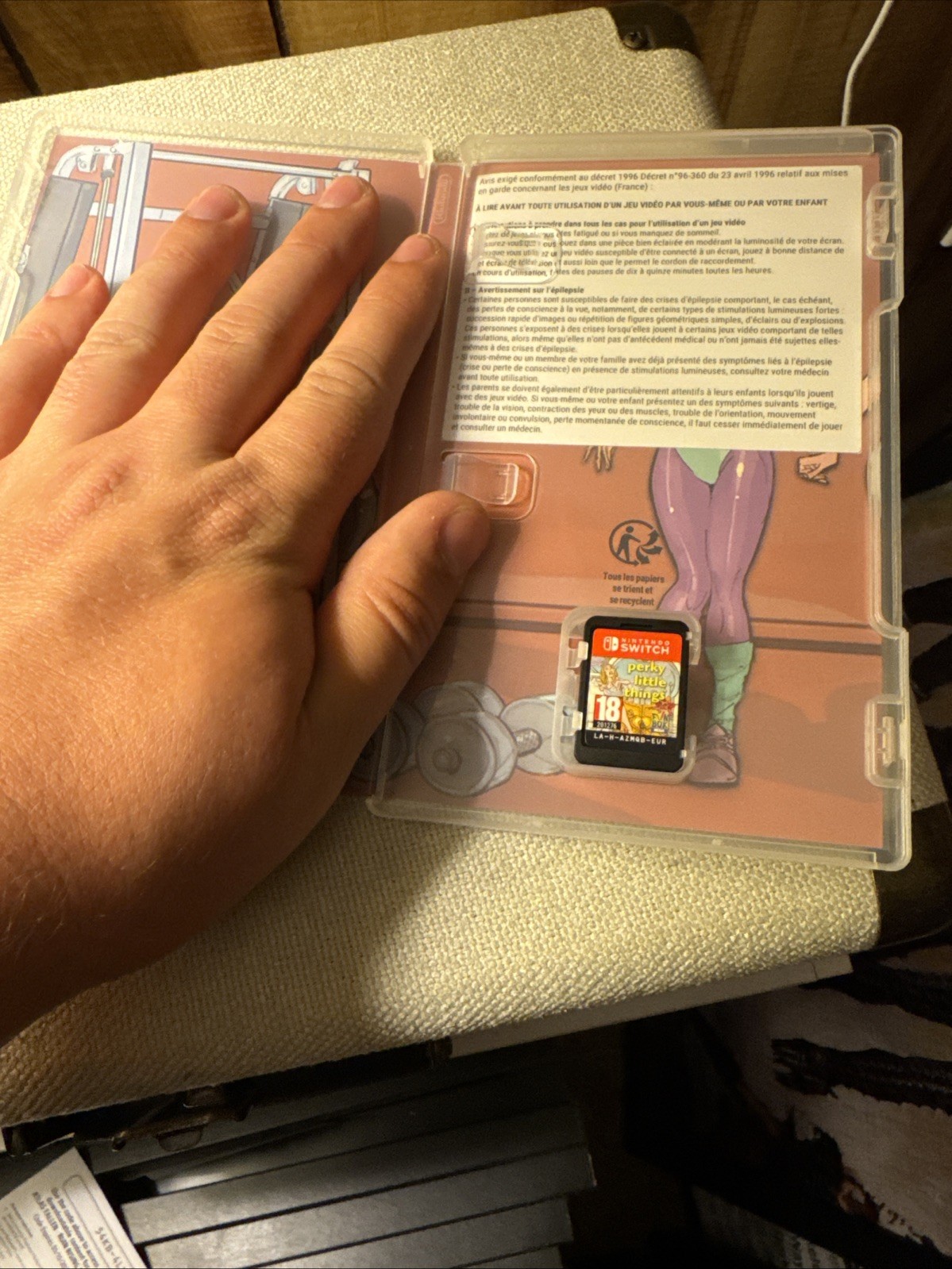 Perky Little Things (Nintendo Switch, 2021)