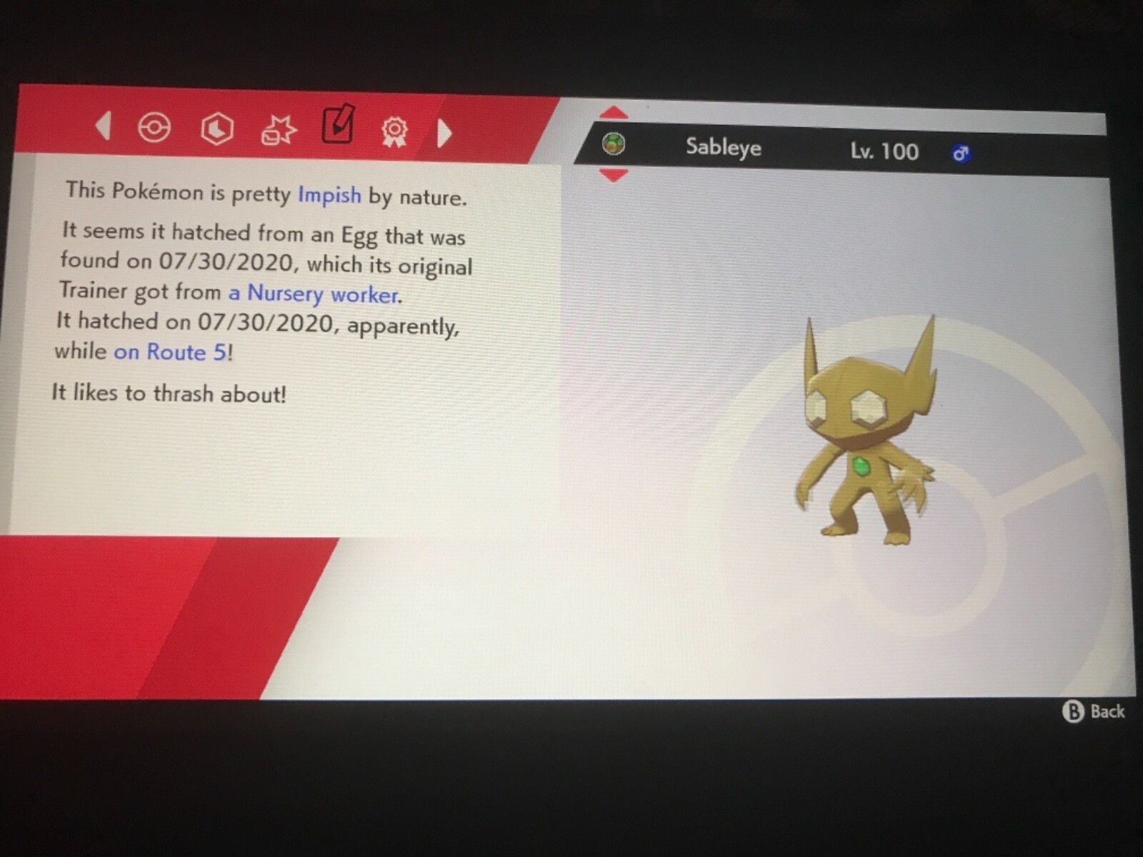 Pokemon Sword And Shield Shiny Sableye 6IV Battle Ready Fast Delivery