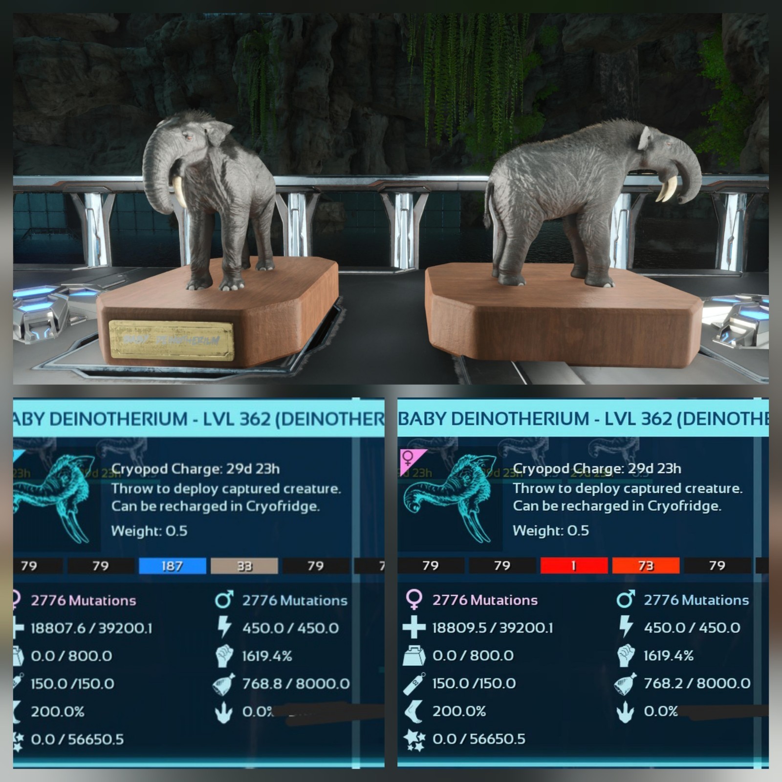 DEINOTHERIUM BLACK ID79 NEW TOP STATUS BABY PAIR ARK ASCENDED PVE. PC/XBOX/PS5.
