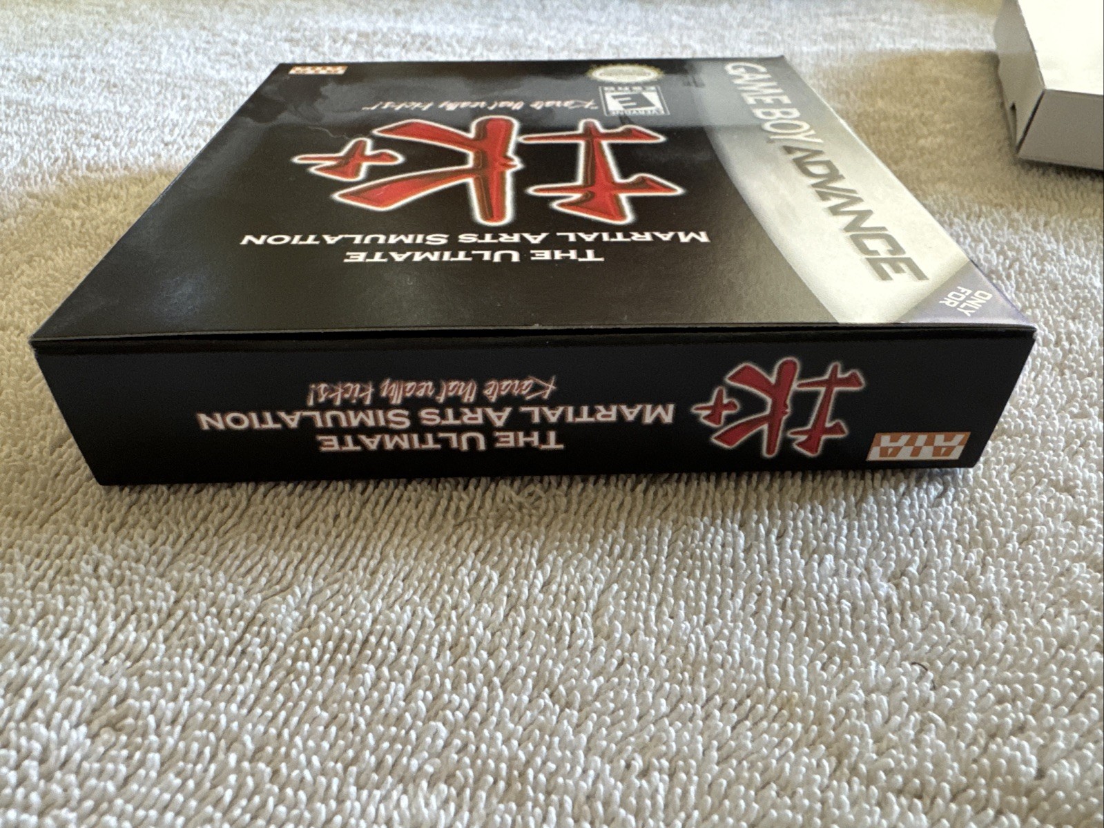 Ultimate Martial Arts GBA Game Boy Advance *CiB* Very Good Condition