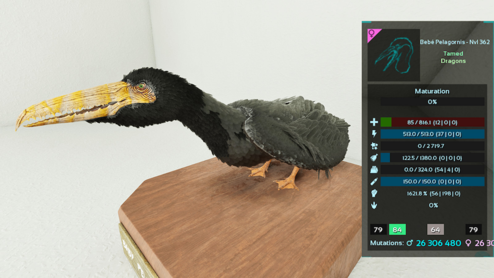 🔥ARK Ascended PVE OFFICIAL 1 PAIR ADULT PELAGORNIS BLACK TOP STATS