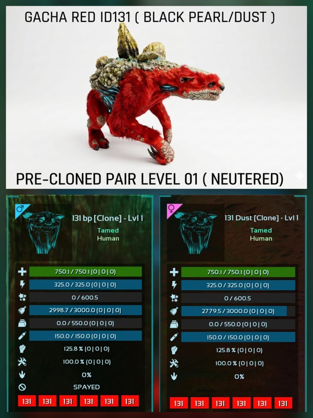 GACHA Full Color Pre-Cloned Pair neutered Ark Ascended Official PVE PC/XBOX/PS5