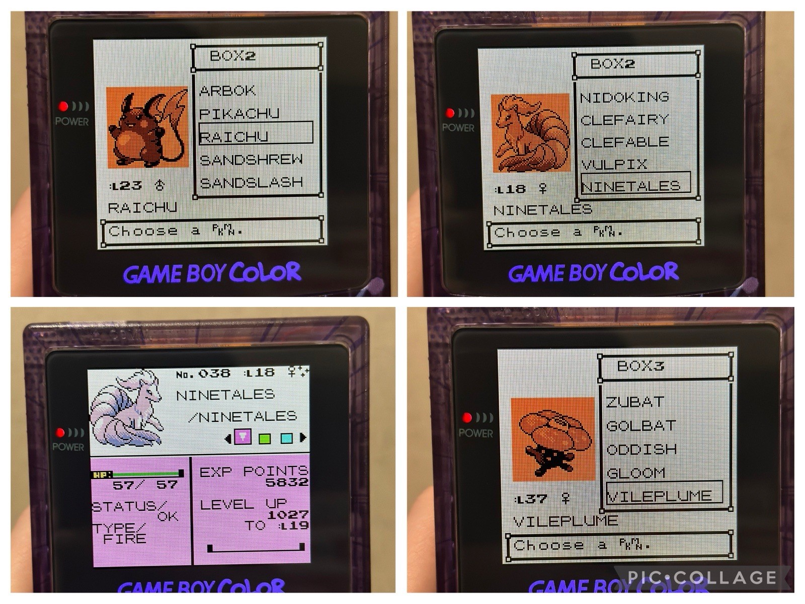 Pokemon Gold w/ All 251 Complete Shiny Pokedex Authentic Saves Max Money Items