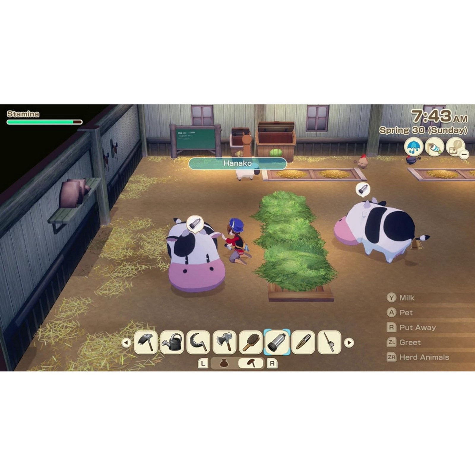 Story of Seasons: Grand Bazaar: Premium Edition – Switch
