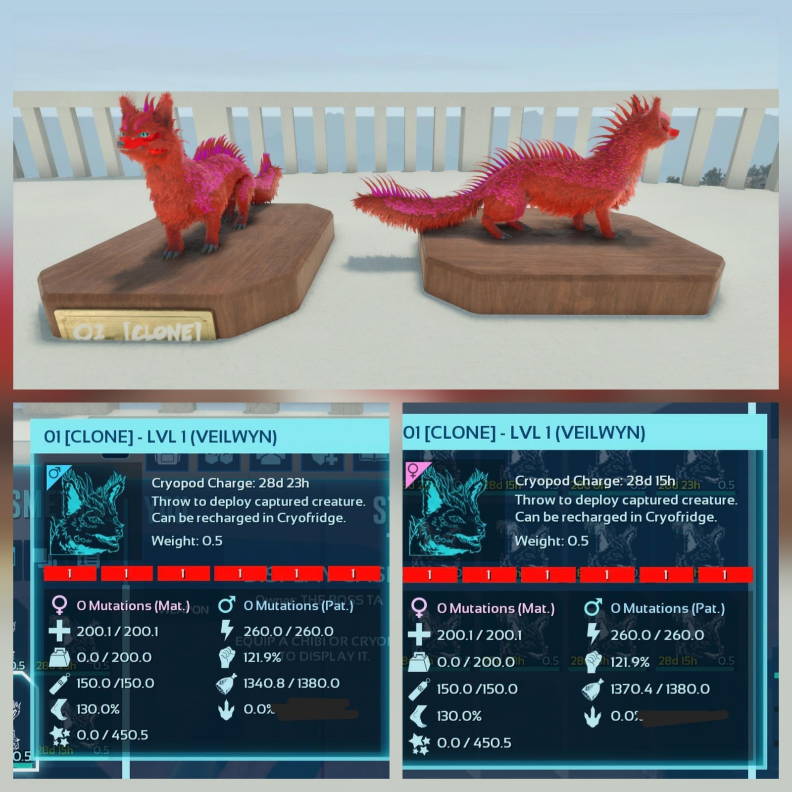 VEILWYN PAIR CLONE LVL01 FULL COLOR RED ID01 ARK ASCENDED PVE PC/XBOX/PS5