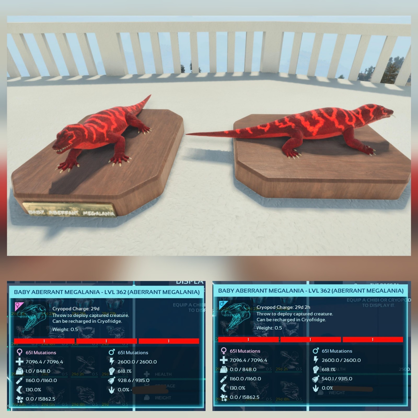 ABERRANT MEGALANIA RED ID01 TOP STATUS BABY PAIR ARK ASCENDED PVE PC/XBOX/PS5