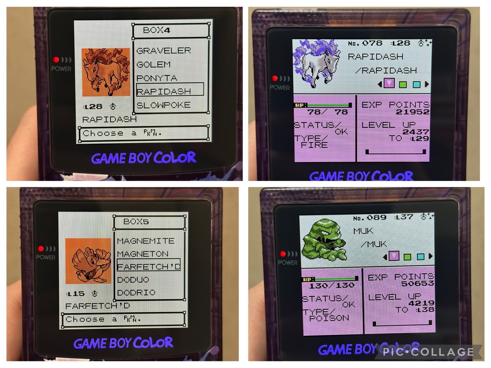Pokemon Gold w/ All 251 Complete Shiny Pokedex Authentic Saves Max Money Items