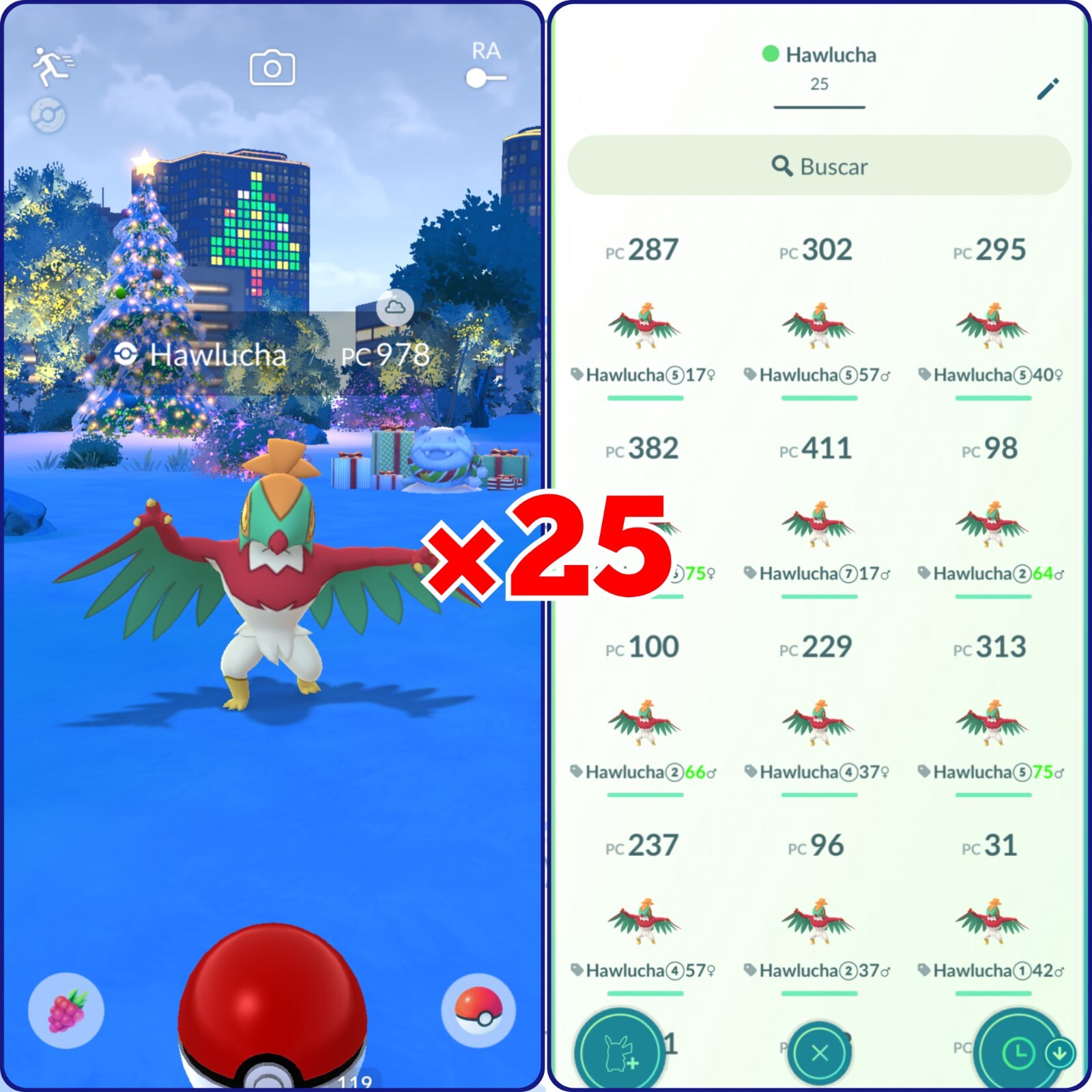 México Regional: (×25) Hawlucha | tra de Go