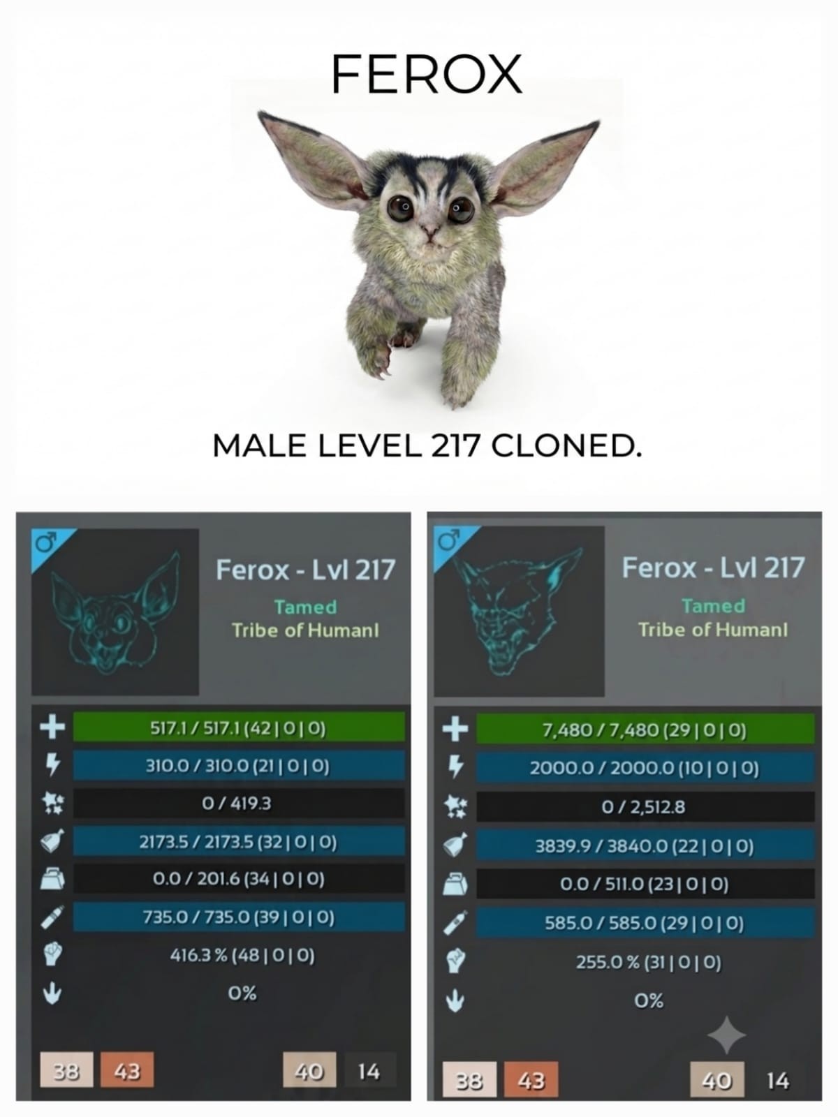 FEROX Cloned Male Level 217 – Genesis 1 – Ark Ascended PVE Official Crossplay