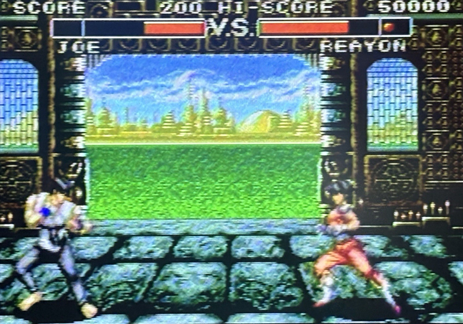 Deadly Moves (Sega Genesis) Retro | Vintage Video Game – Tested
