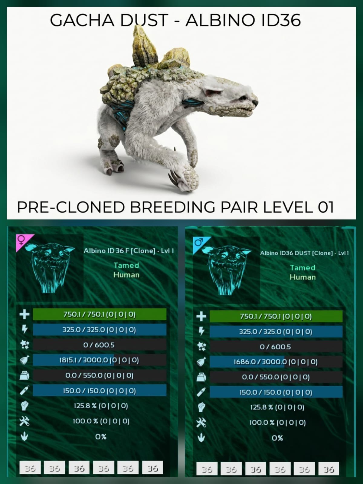 GACHA Dust LVL 01 Pre-Cloned breeding Pair Ark Ascended Official PVE PC/XBOX/PS5