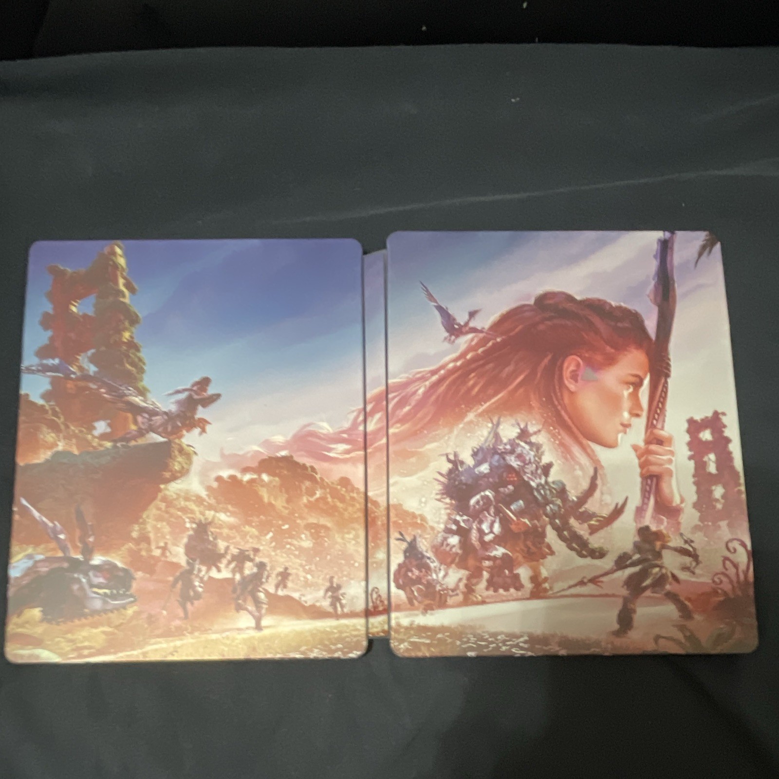 Horizon Forbidden West SteelBook And Game.