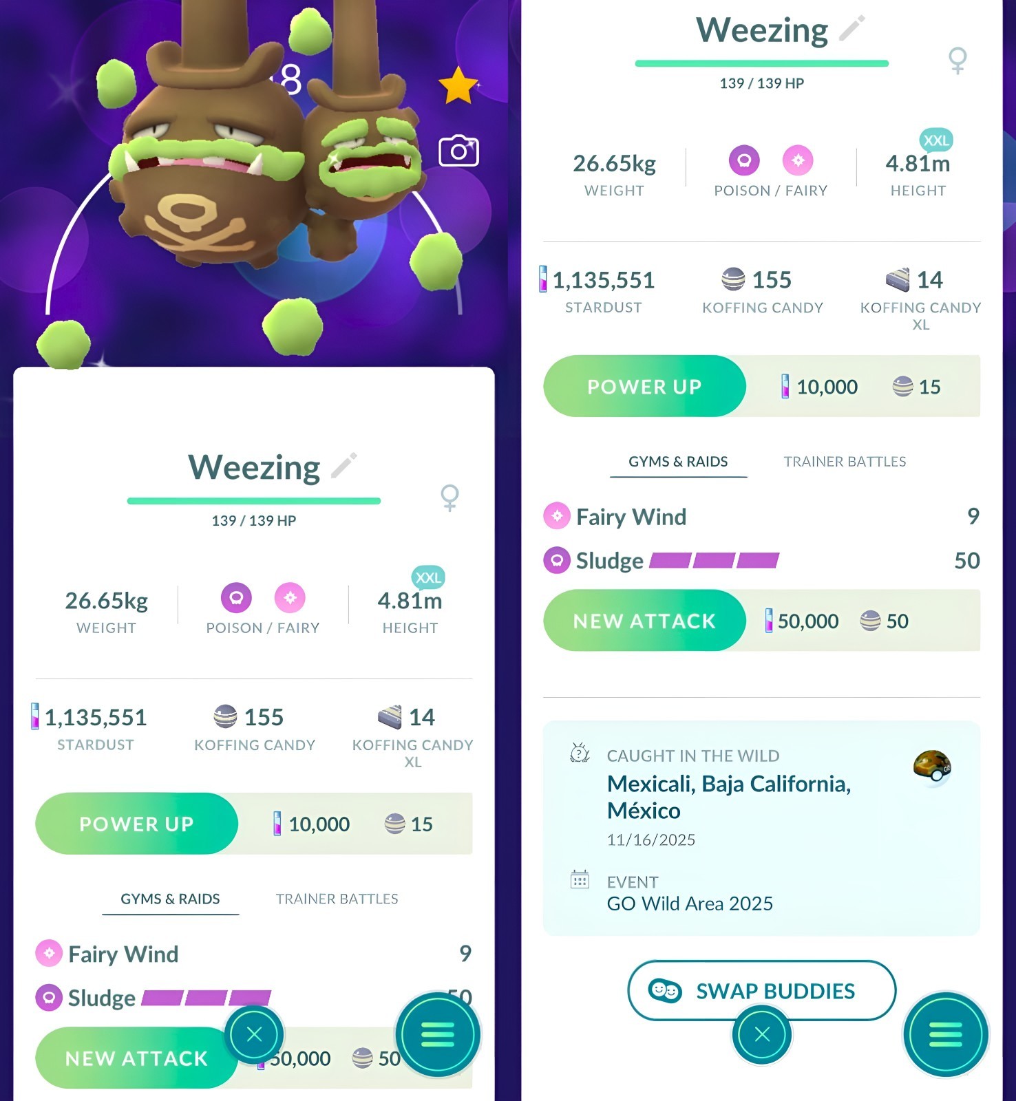 Shiny Galar Weezing XXL Male, Female | registered or unregistered | Tr-de Go ✨