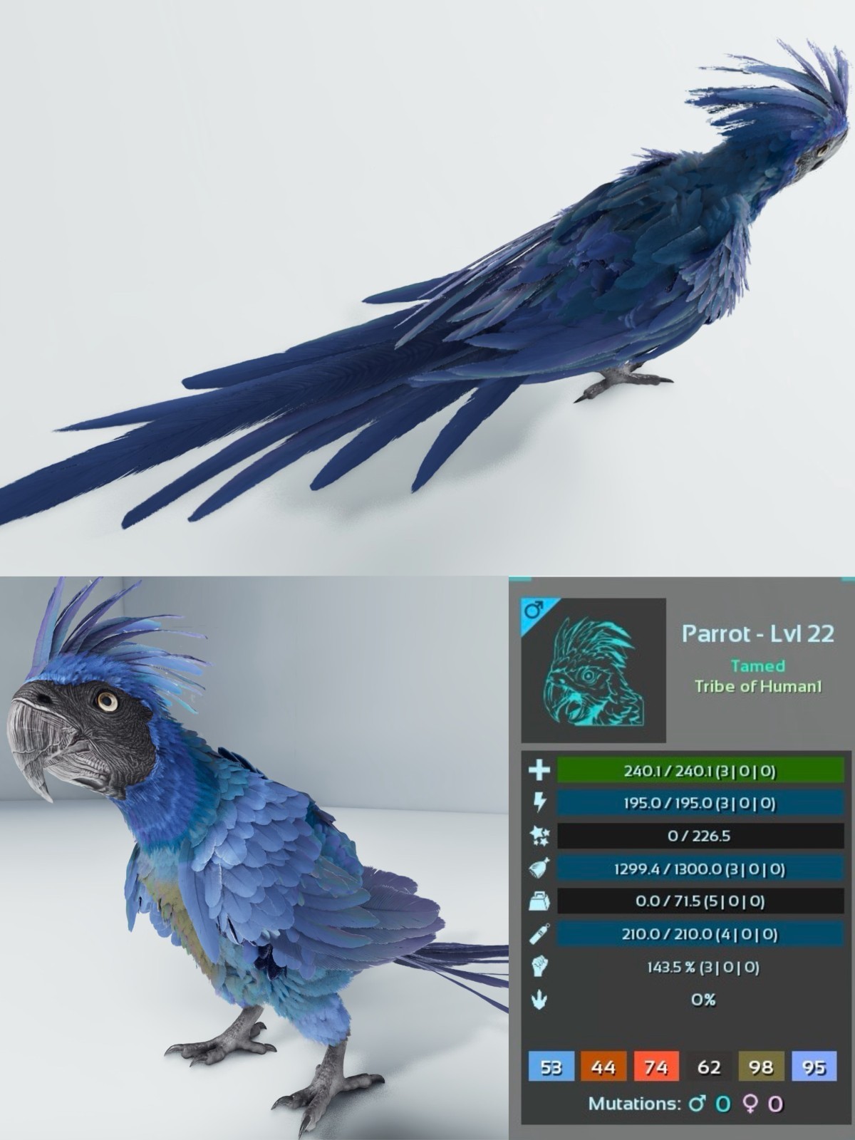 Parrot Clone ARK🦕 Survival Ascended ASA PVE PC/XBOX/PS