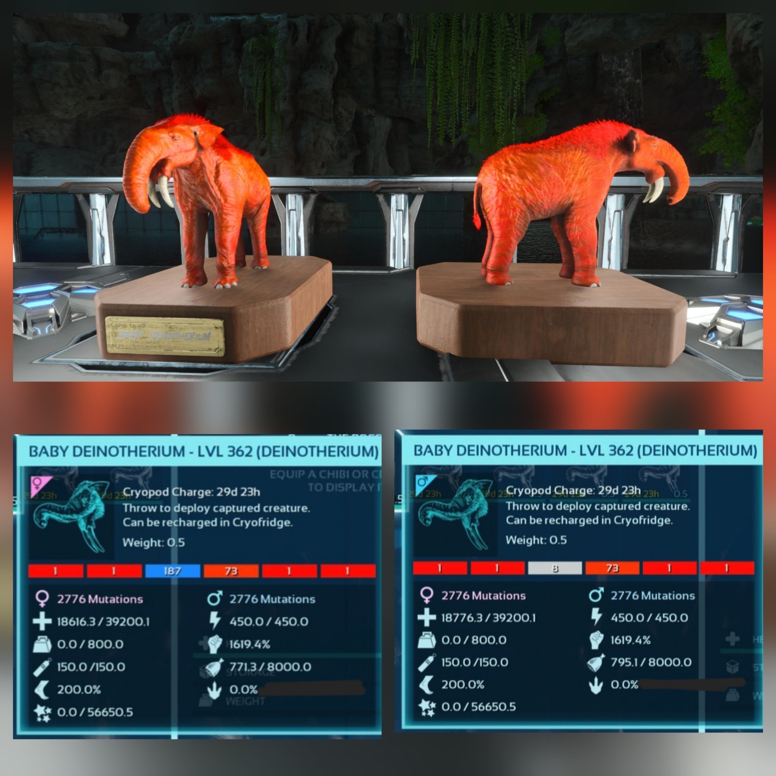DEINOTHERIUM RED ID01 NEW TOP STATUS BABY PAIR ARK ASCENDED PVE. PC/XBOX/PS5.