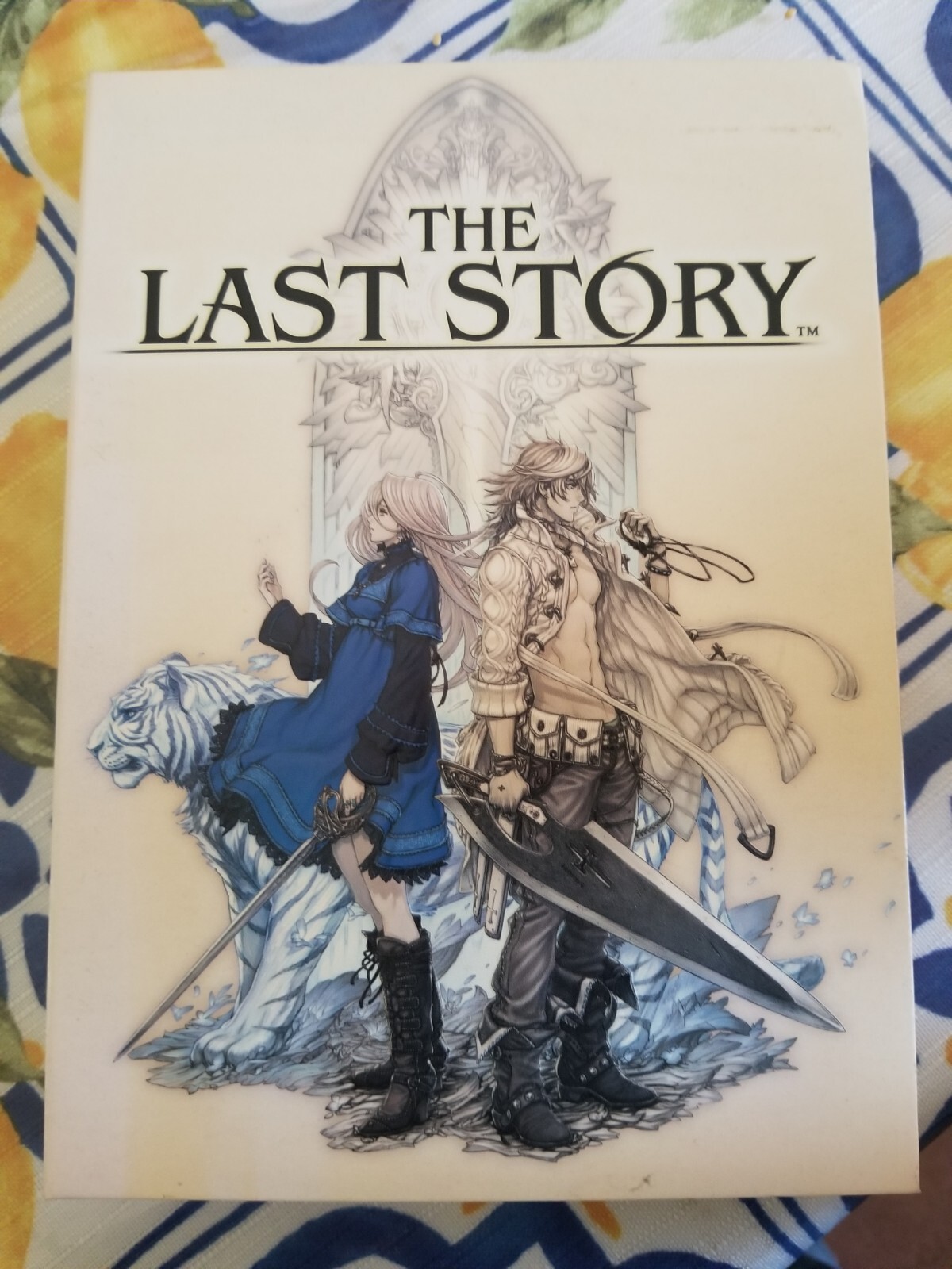 The Last Story (Nintendo Wii, 2012)