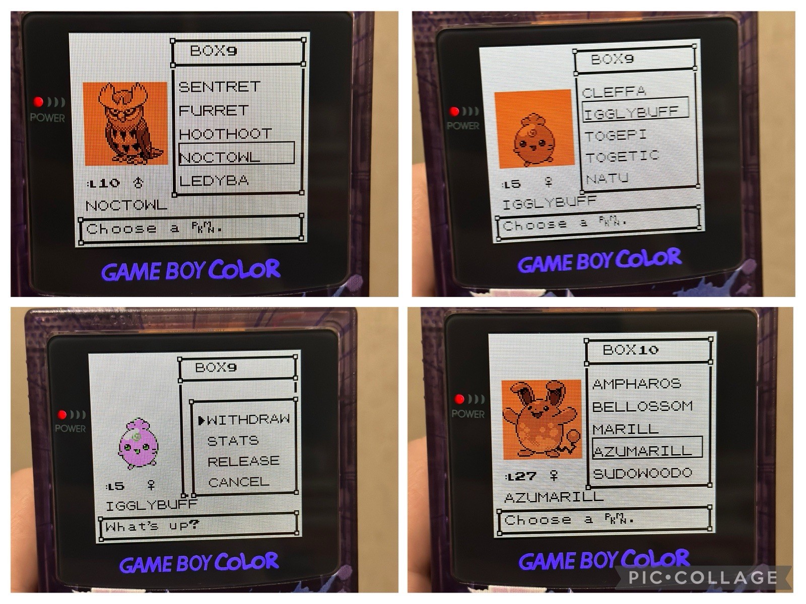 Pokemon Gold w/ All 251 Complete Shiny Pokedex Authentic Saves Max Money Items