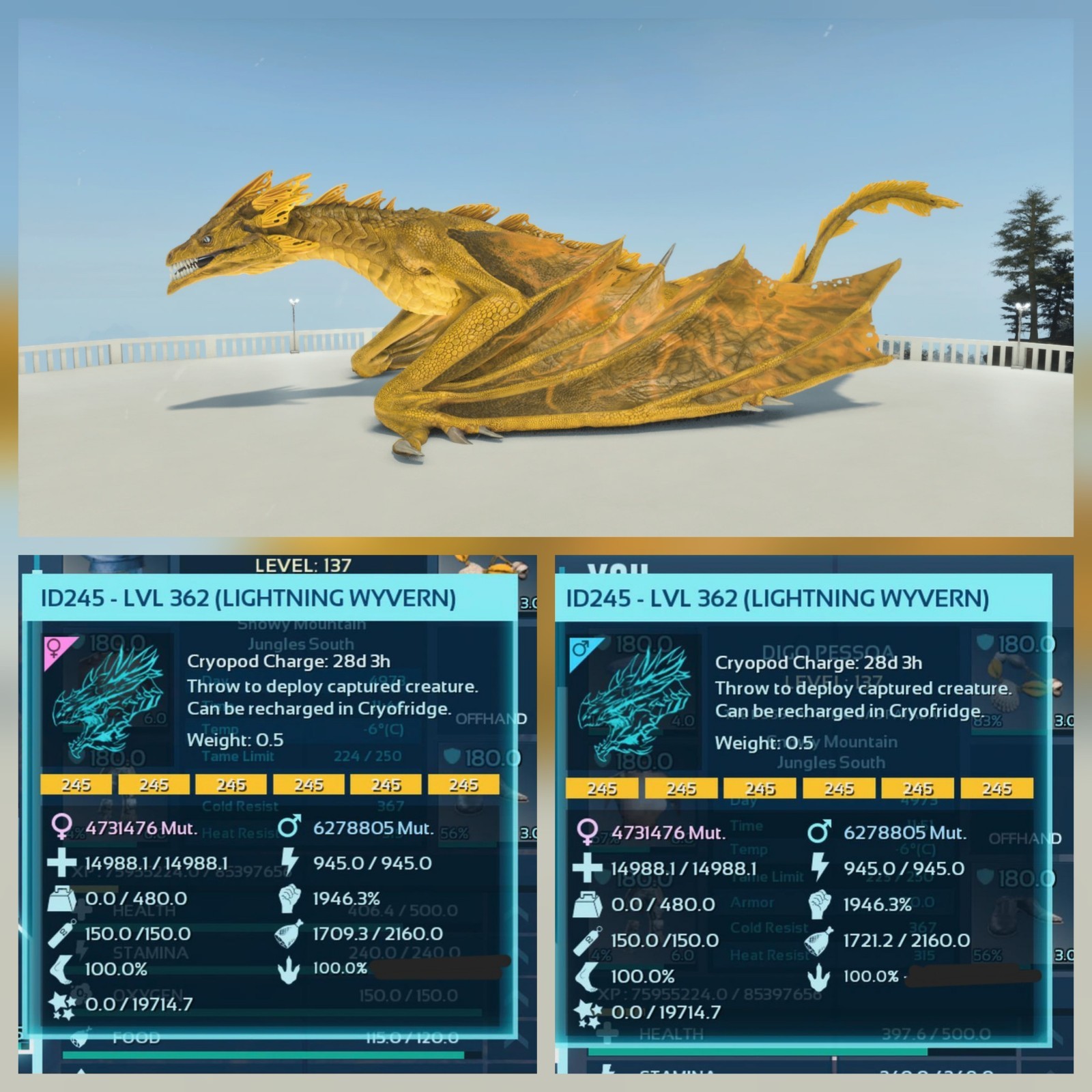 WYVERN LIGTHNING GOLD PAIR ADULT 100% IMPRINT ARK ASCENDED PVE PC/XBOX/PS5