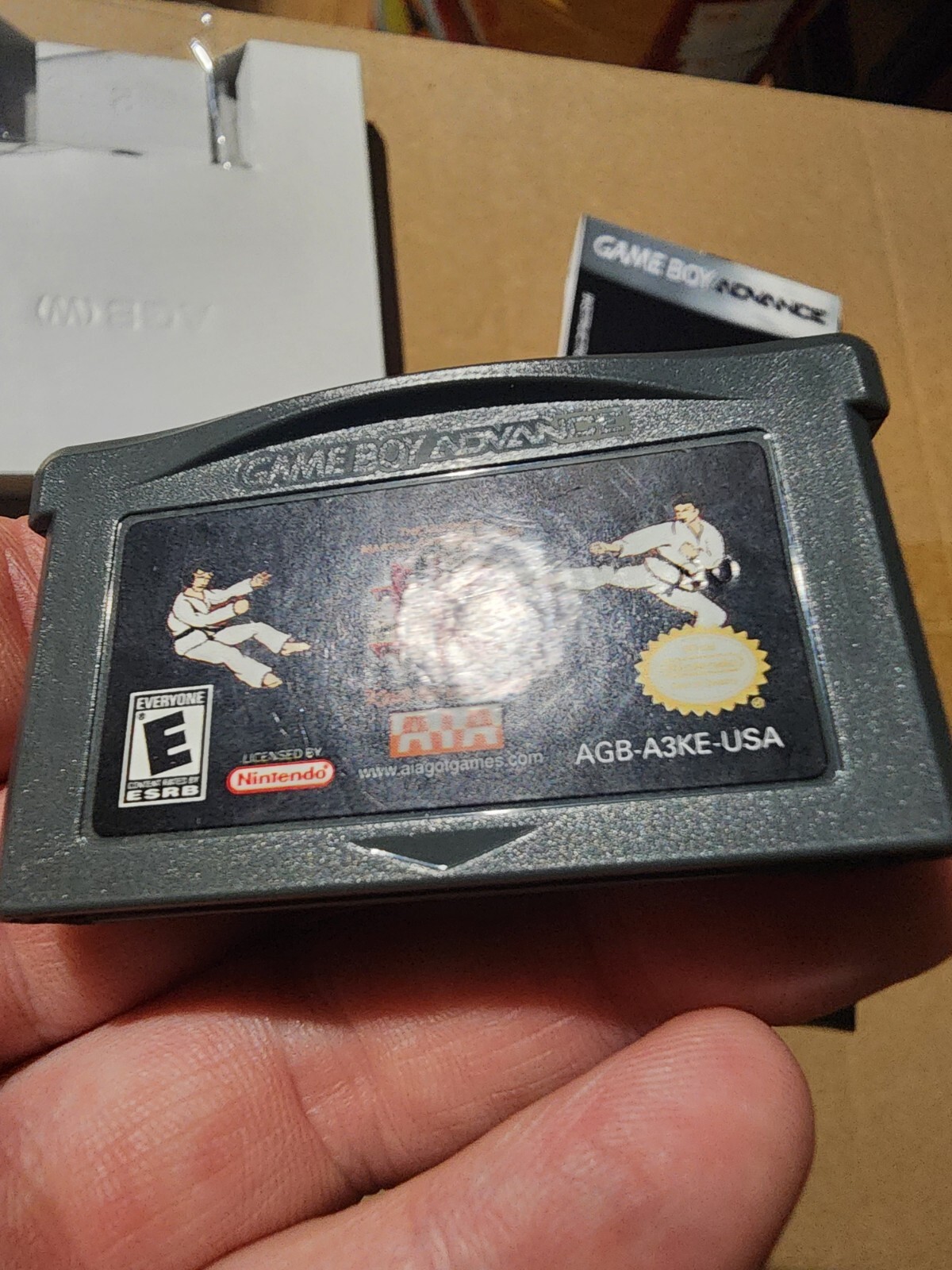 IK+: The Ultimate Martial Arts Simulator (GameBoy Advance GBA) 100% Complete! NM