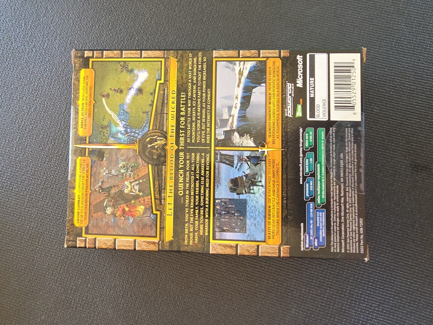 RARE DUNGEON SIEGE PC-CD Video Game 2 CD Role Playing CHRIS TAYLOR RPG Fantasy
