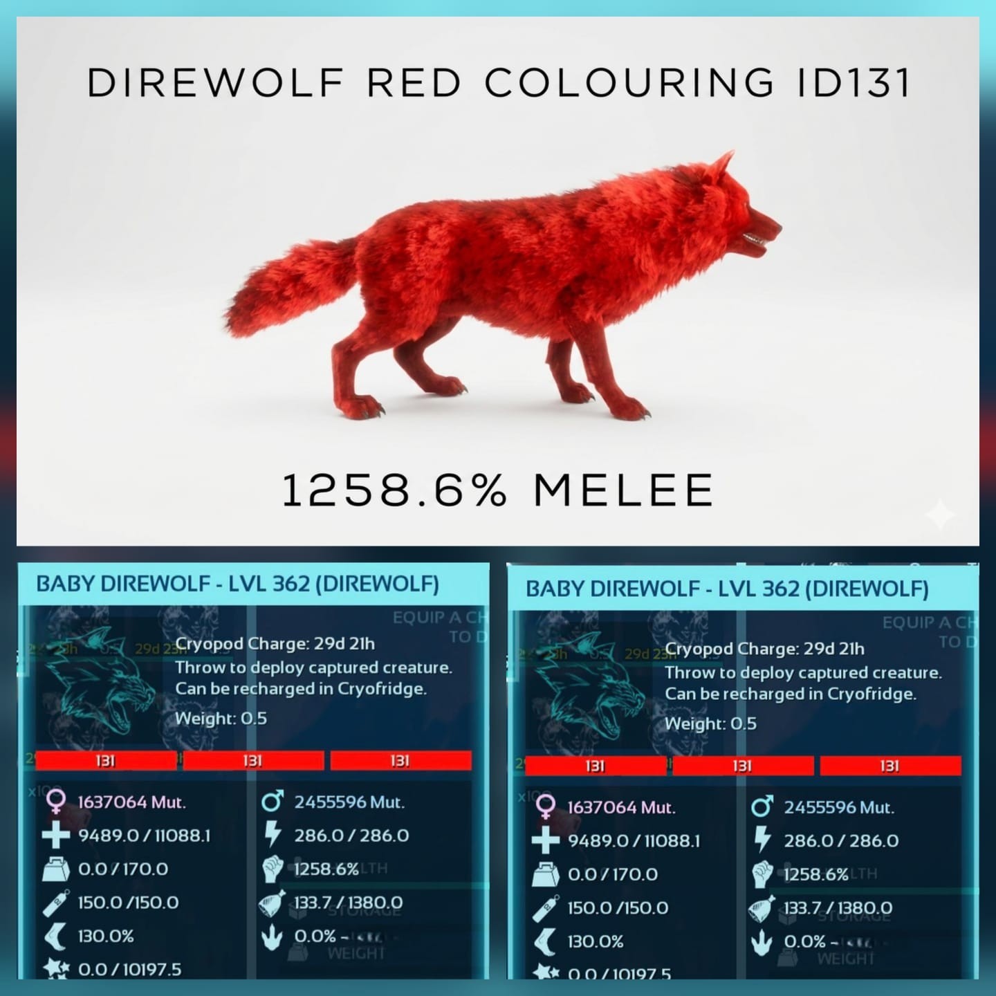 DIREWOLF Top Stats BABY PAIR Ark Survival Ascended Official PVE PC/XBOX/PS5