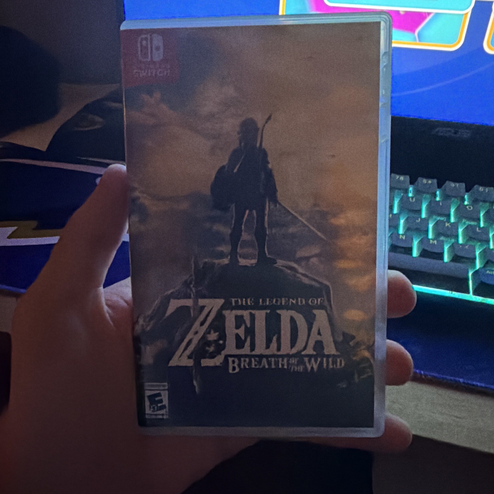 The Legend of Zelda: Breath of the Wild – Nintendo Switch