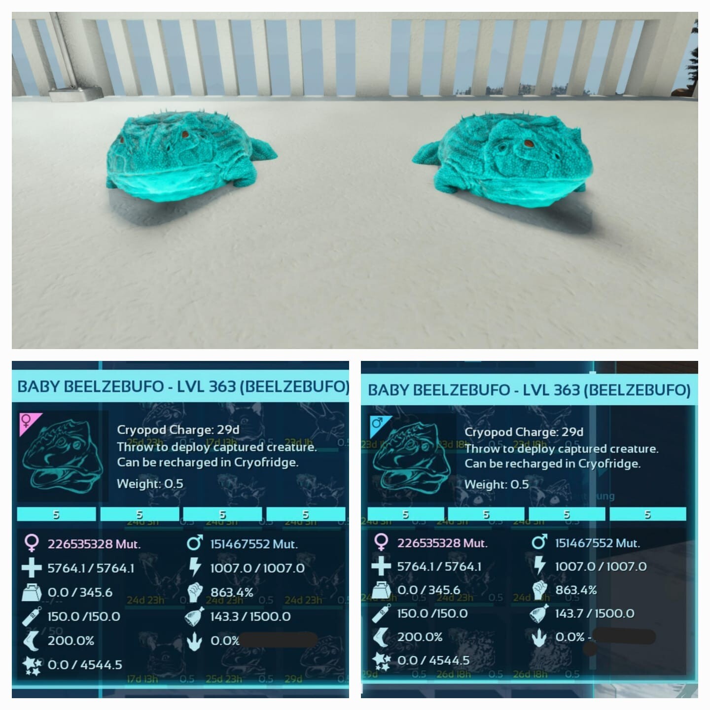 Ark Asa Pve Official Baby Pair Beelzebufo High Status Pc/PS5/Xbox