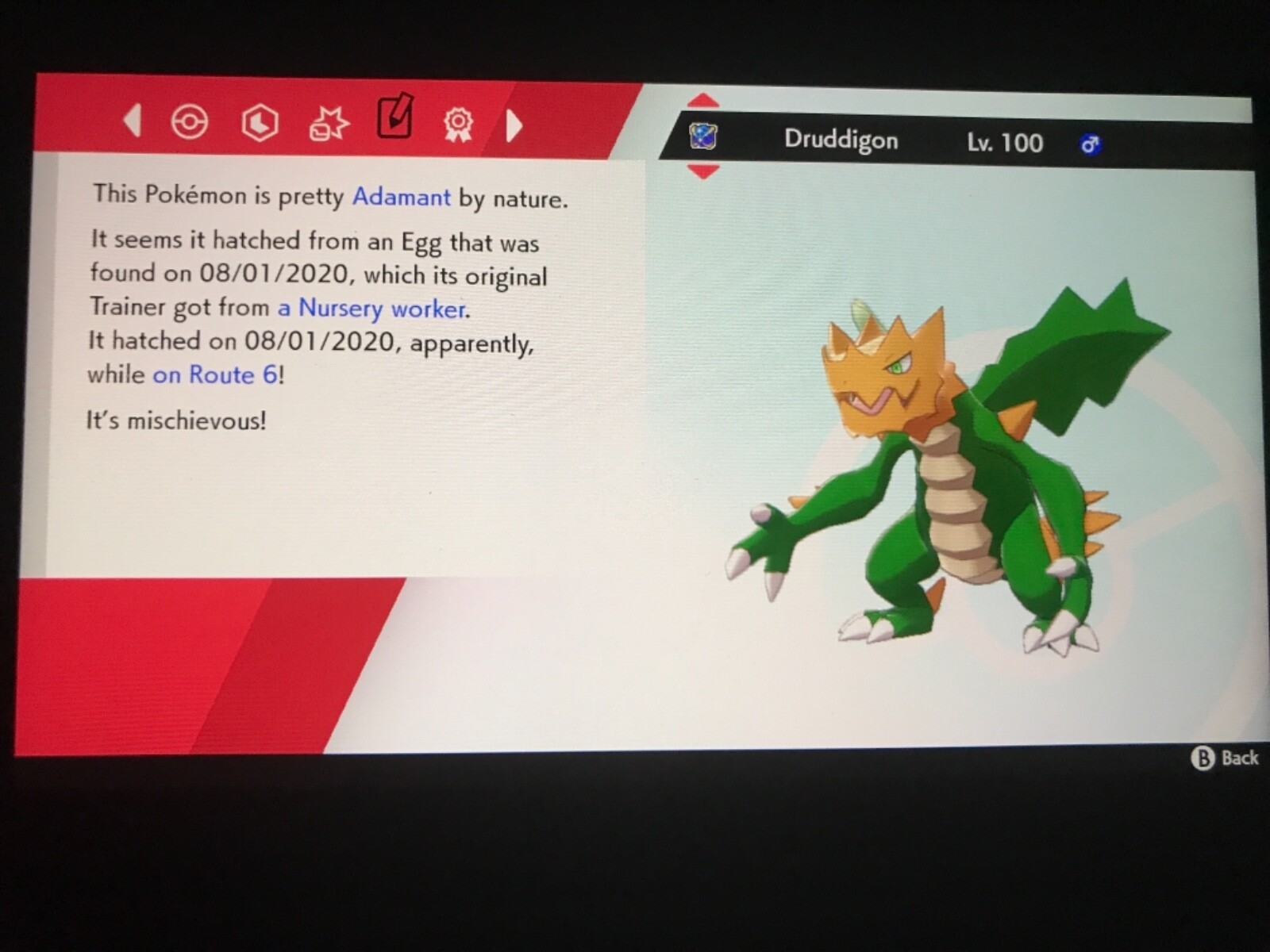 Pokemon Sword And Shield Shiny Druddigon and Stoutland Bundle 6IV Battle Ready
