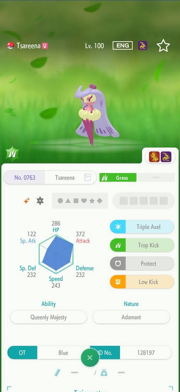 TORKOAL🔥6IV SHINY POKEMON HOME🔥Pokemon CHAMPIONS BATTLE READY SCARLET VIOLET