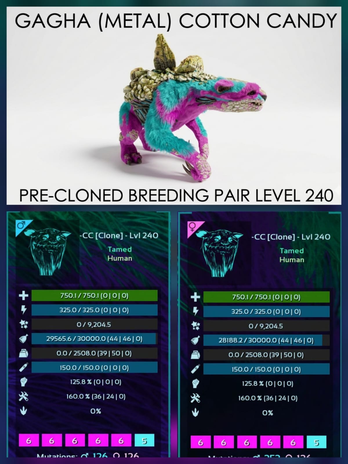 GACHA [METAL] 240 Level Pre-Clone Breeding Pair Ark Asa Official PVE PC/XBOX/PS5