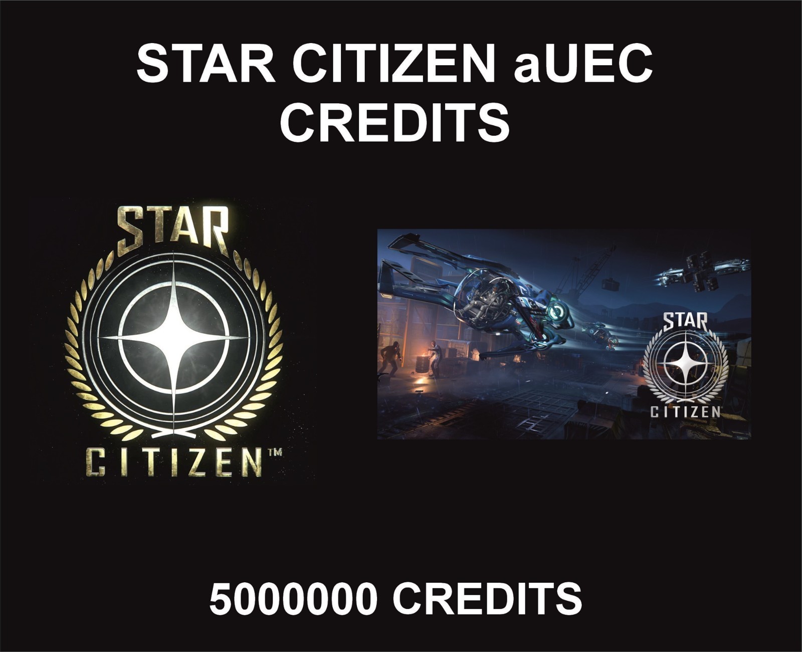 Star Citizen aUEC Credits, 5000000 Credits, For 4.2 Live Version
