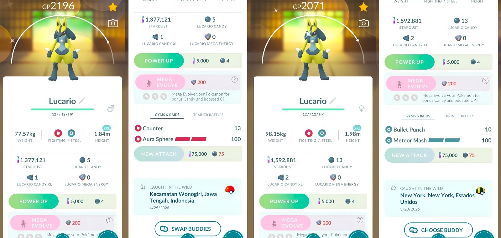 Shiny Lucario XXL Male, Female | Registered or not | Tr-de Go ✨