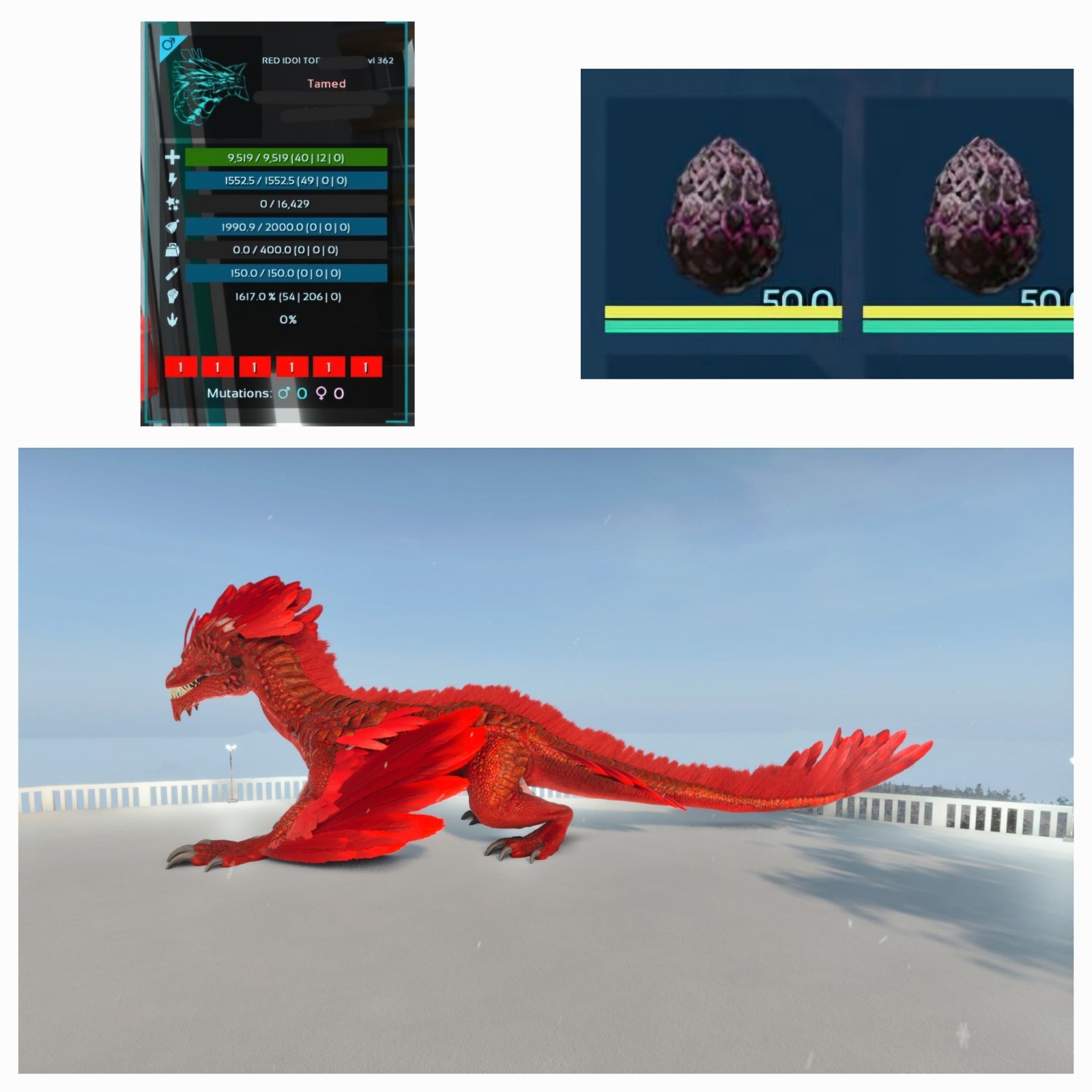 ROCK DRAKE PAIR EGGS TOP STATUS RED ID01 ARK ASCENDED PVE PC/XBOX/PS5