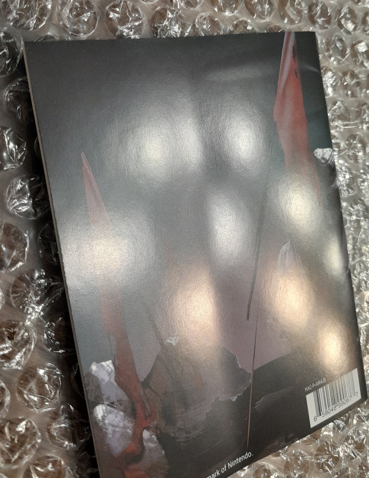 Banner of the Maid (Super Rare Games) (Nintendo Switch) (PEGI) (Region-free)