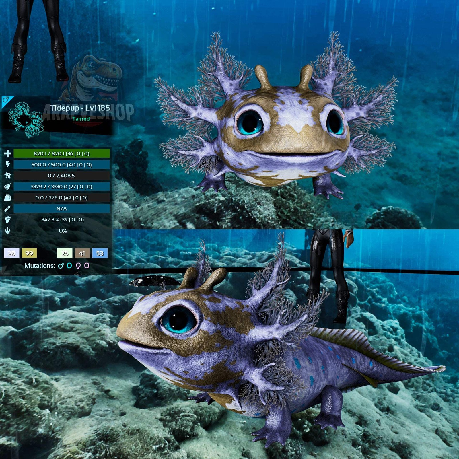 Tidepup clone High Low Lvls Genesis ASA PVE 🦖ARK Survival Ascended