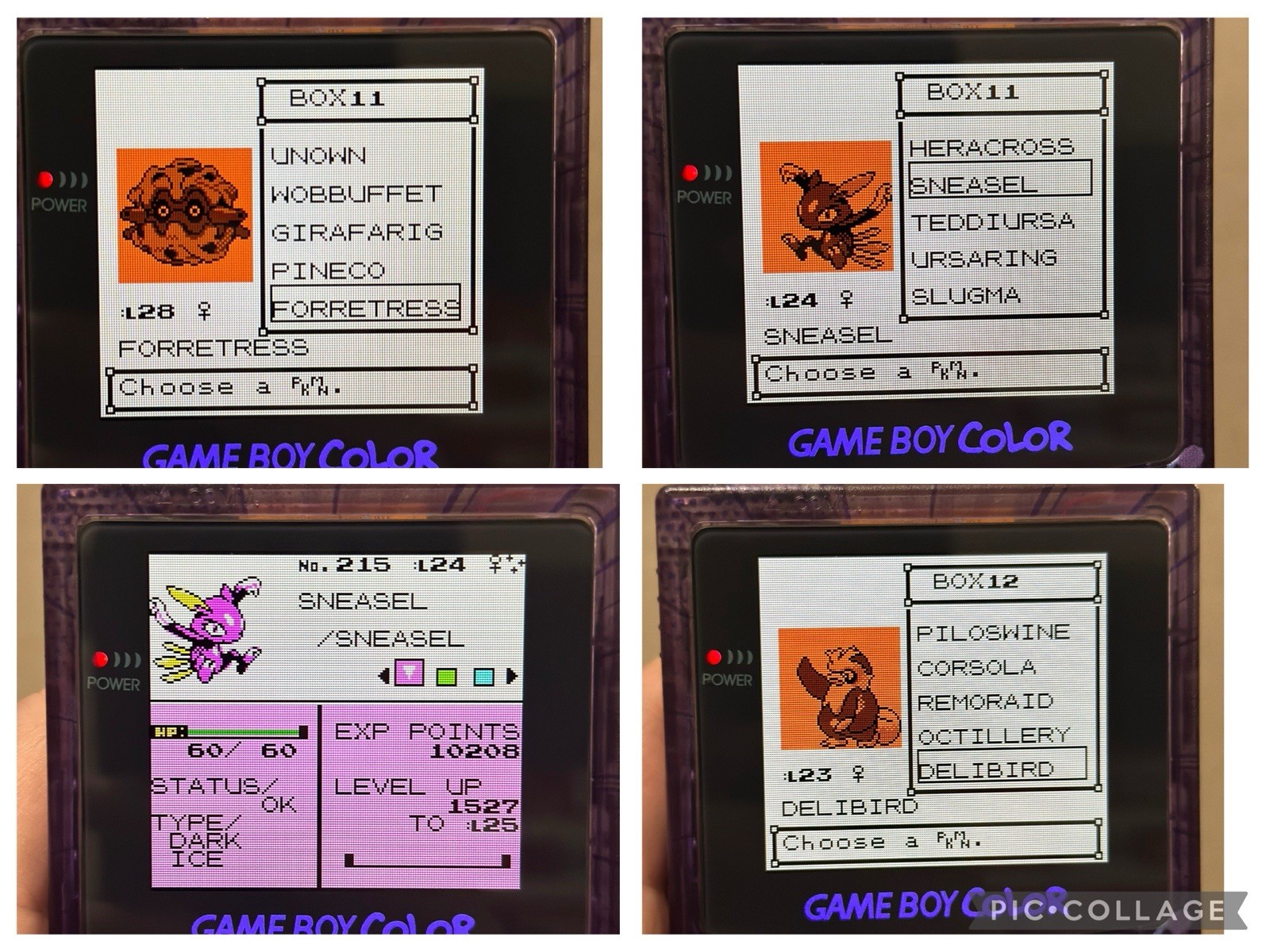 Pokemon Gold w/ All 251 Complete Shiny Pokedex Authentic Saves Max Money Items