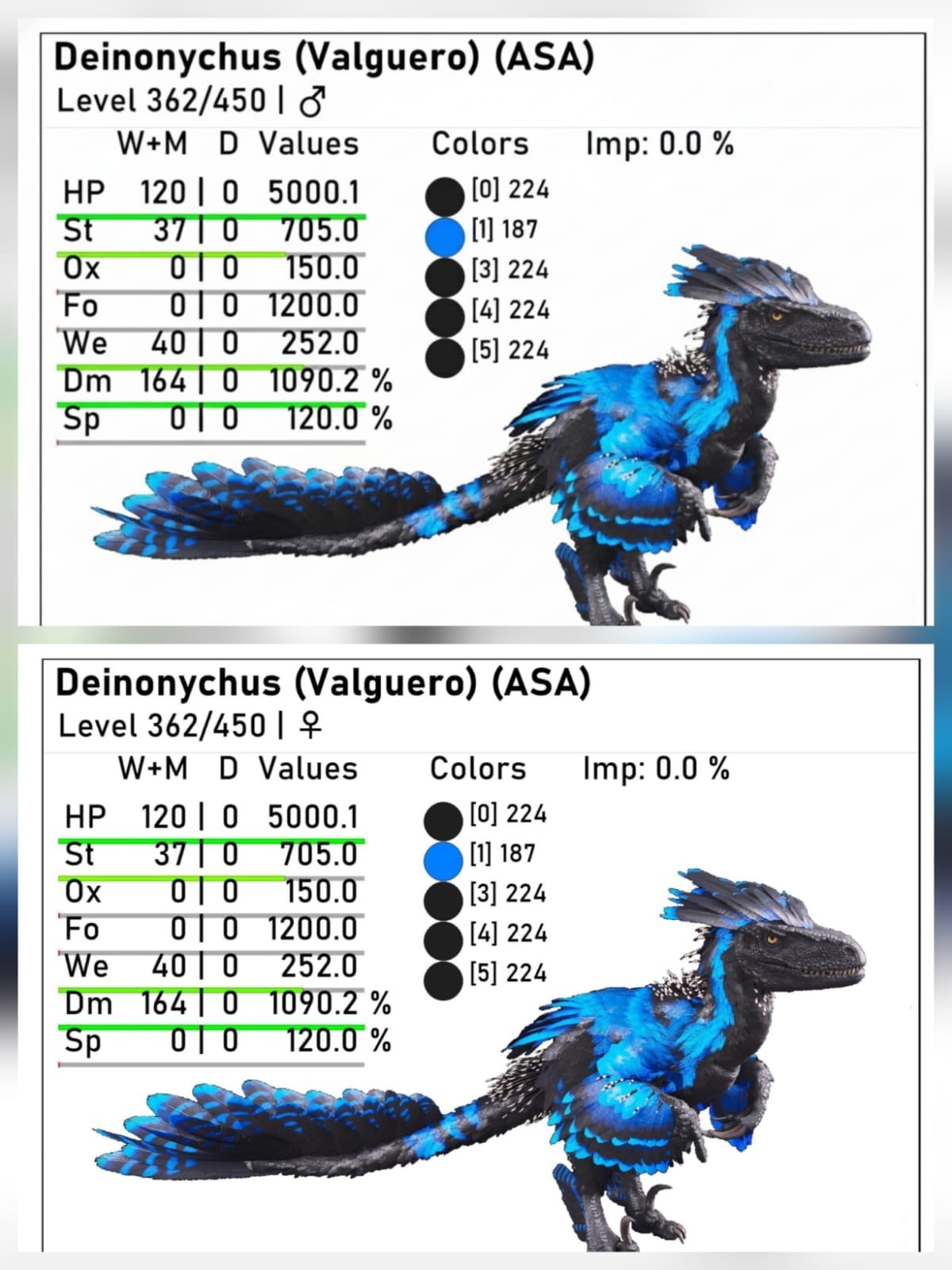 New top Deinonychus adult breeding pair level 362 Ark Ascended PVE PC/XBOX/PS5